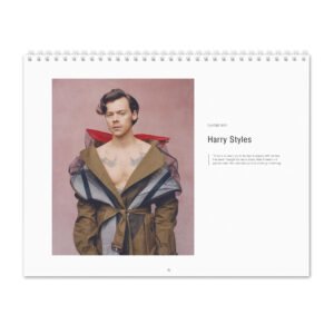 Harry Styles - Playtime 2027 Wall Calendar