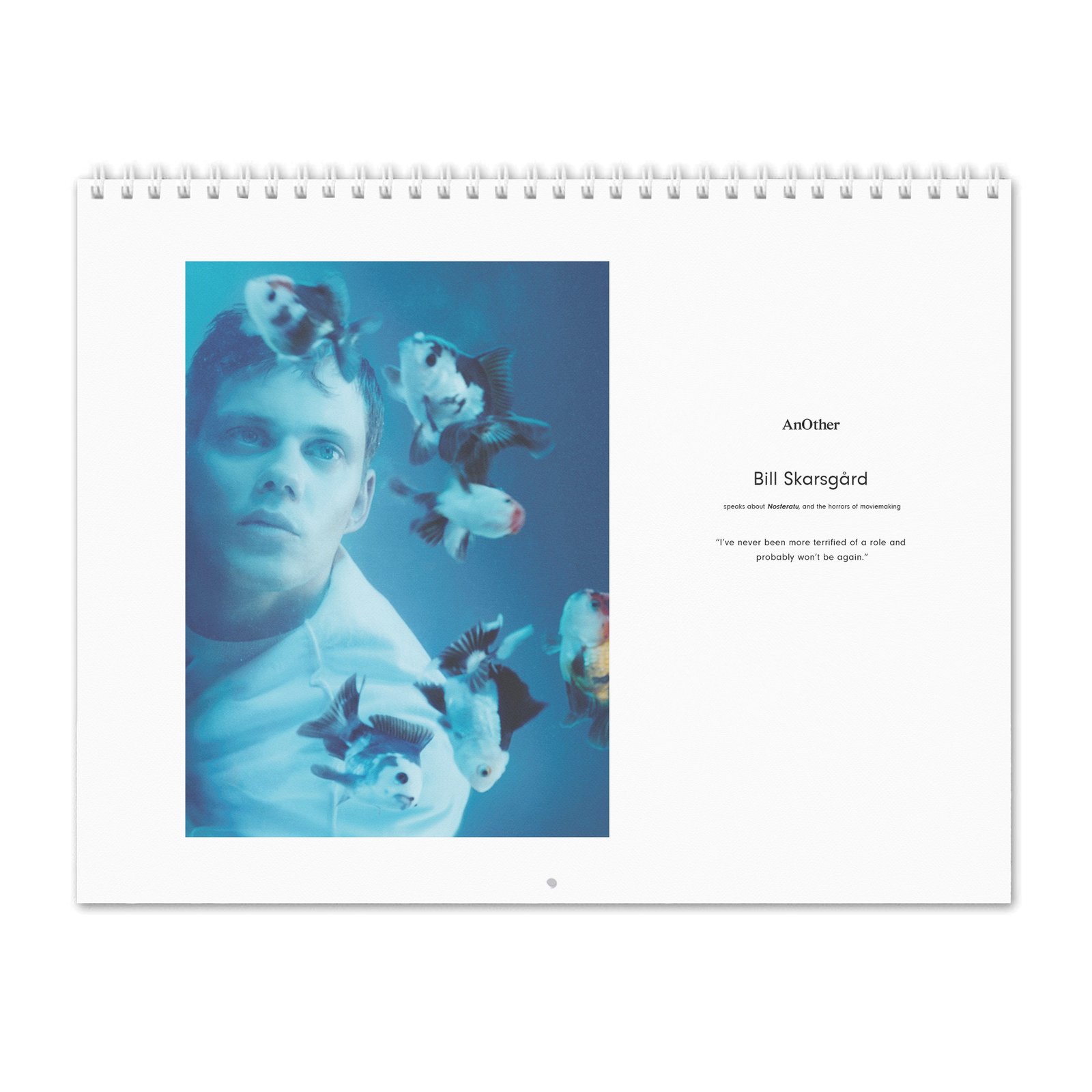00 Bill Skarsgard - Another 2027 Wall Calendar
