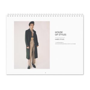 Harry Styles - House of Styles 2027 Wall Calendar