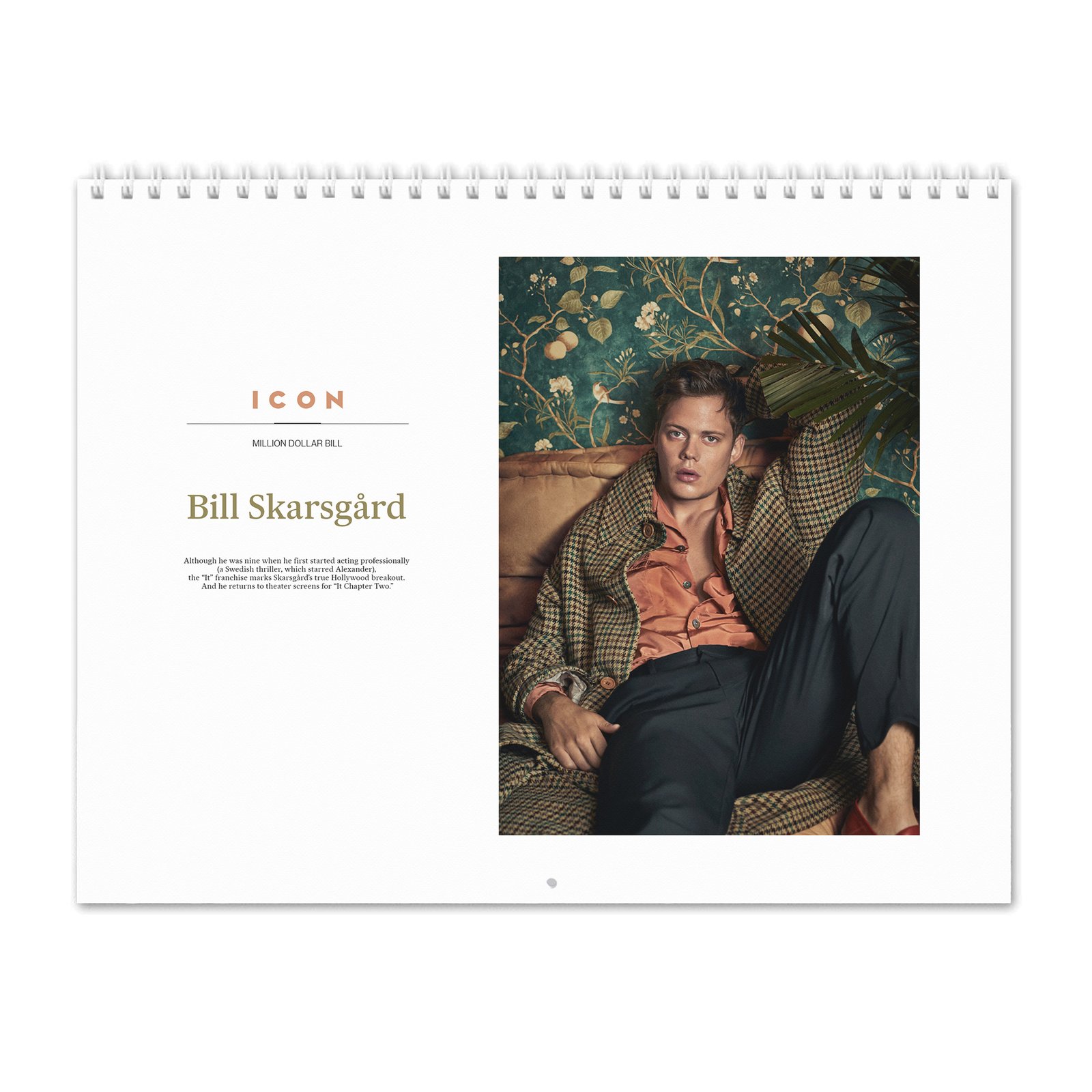00 Bill Skarsgard - Million Dollar Bill 2027 Wall Calendar