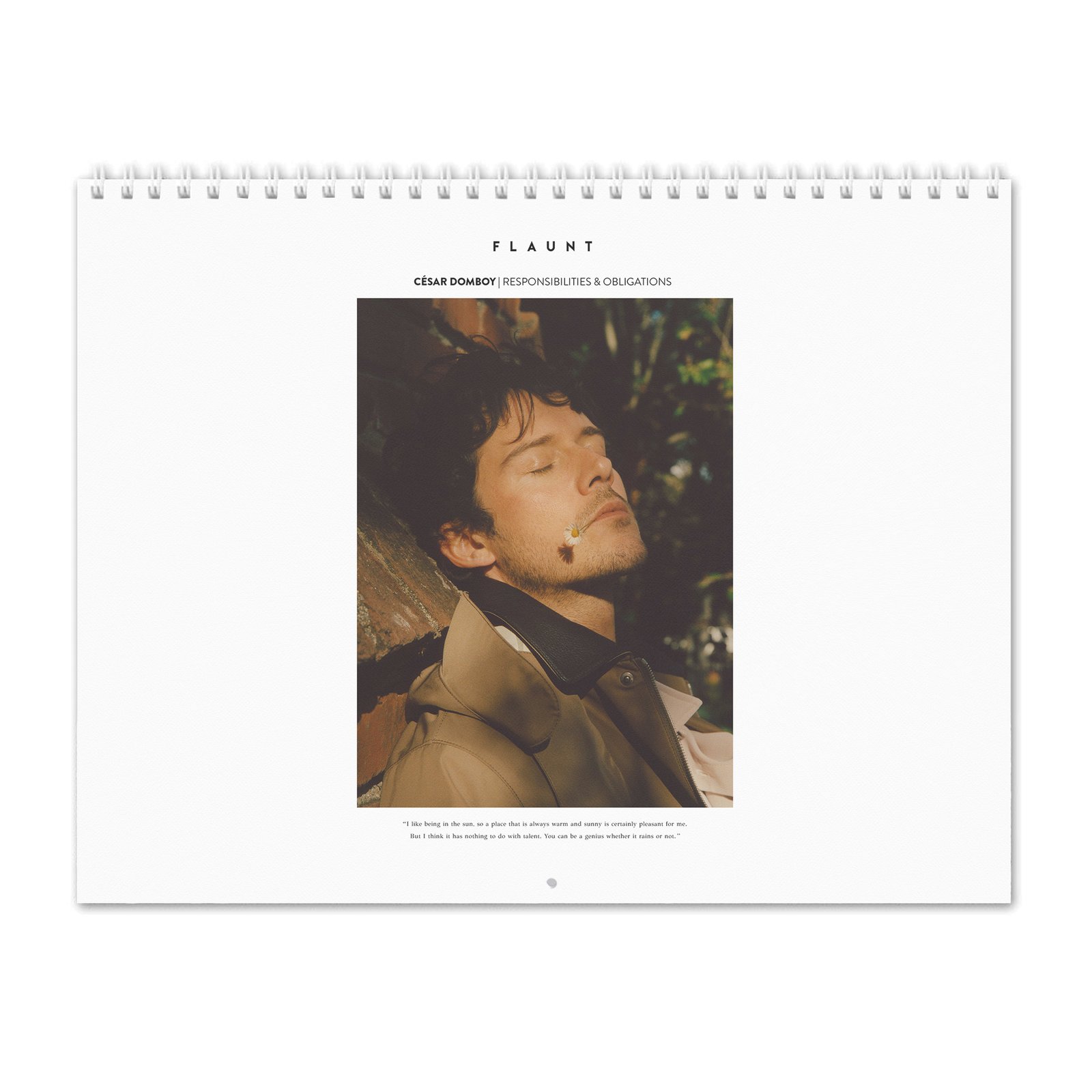 00 Cesar Domboy - Flaunt 2027 Wall Calendar