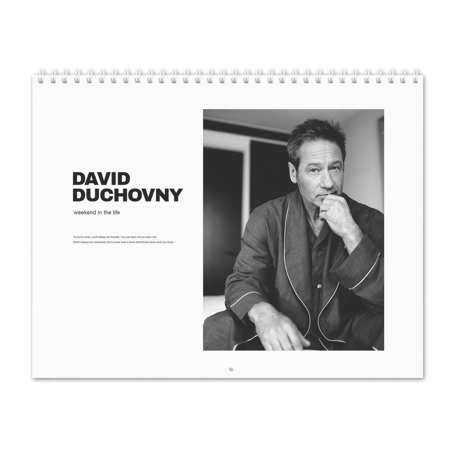 David Duchovny - Weekend In The Life 2027 Wall Calendar