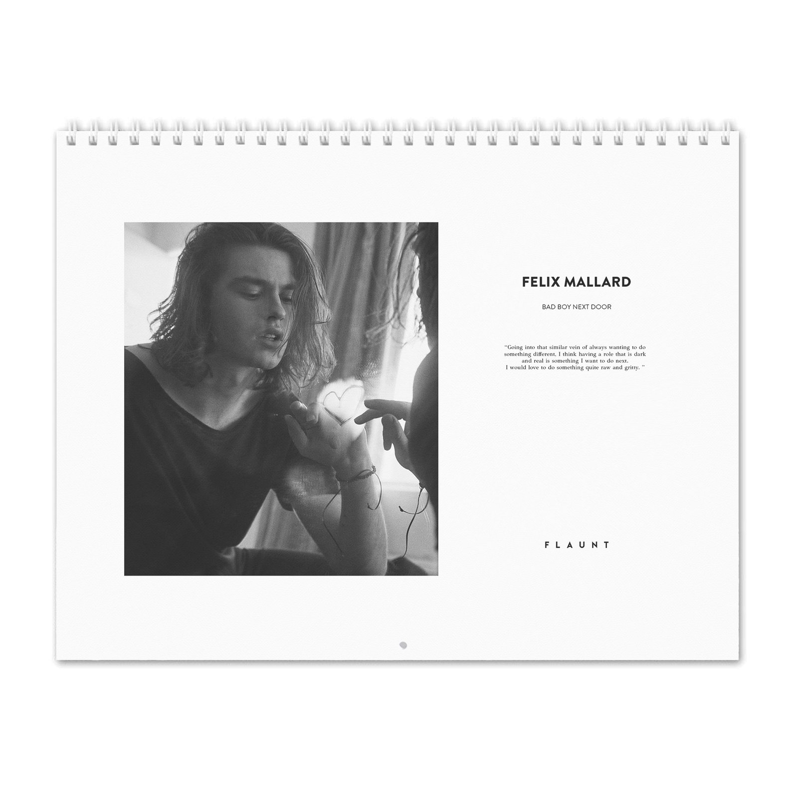 Felix Mallard - Flaunt 2027 Wall Calendar