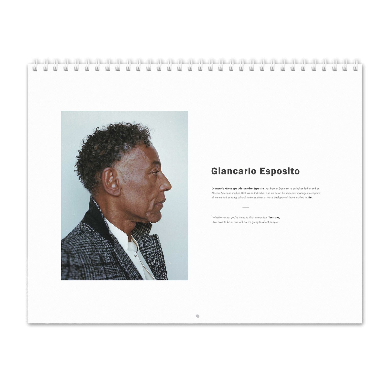 00 Giancarlo Esposito - Rogue 2027 Wall Calendar