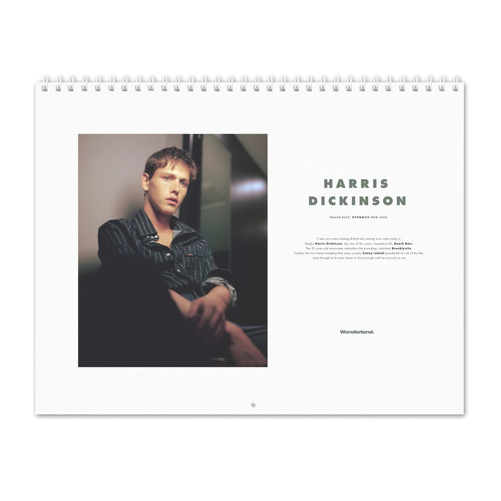 Harris Dickinson - Wonderland 2027 Wall Calendar