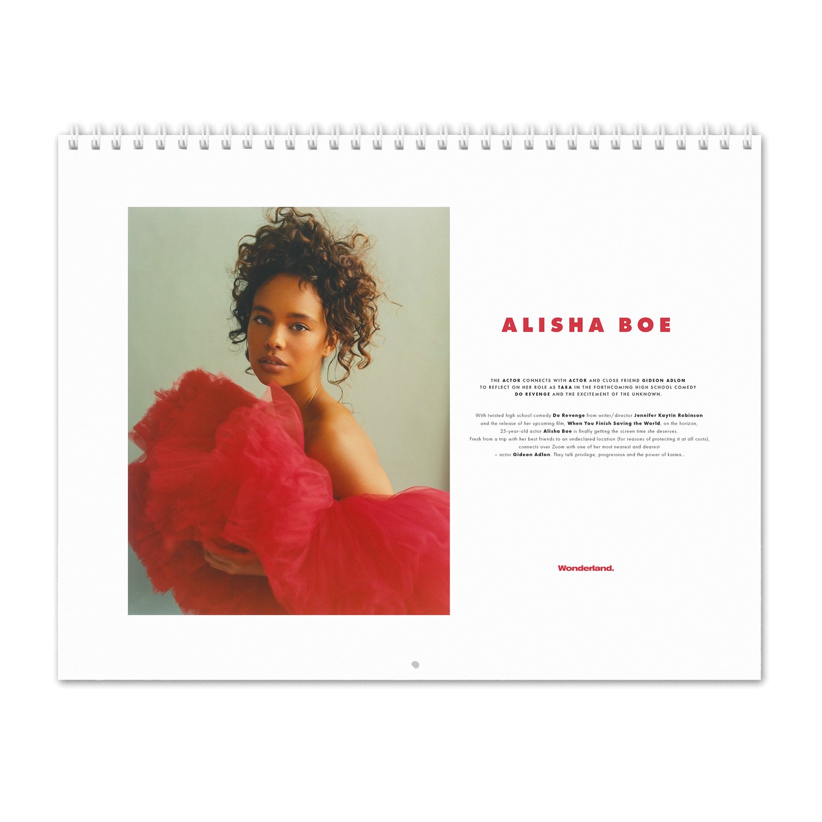 00 Alisha Boe - Wonderland 2027 Wall Calendar