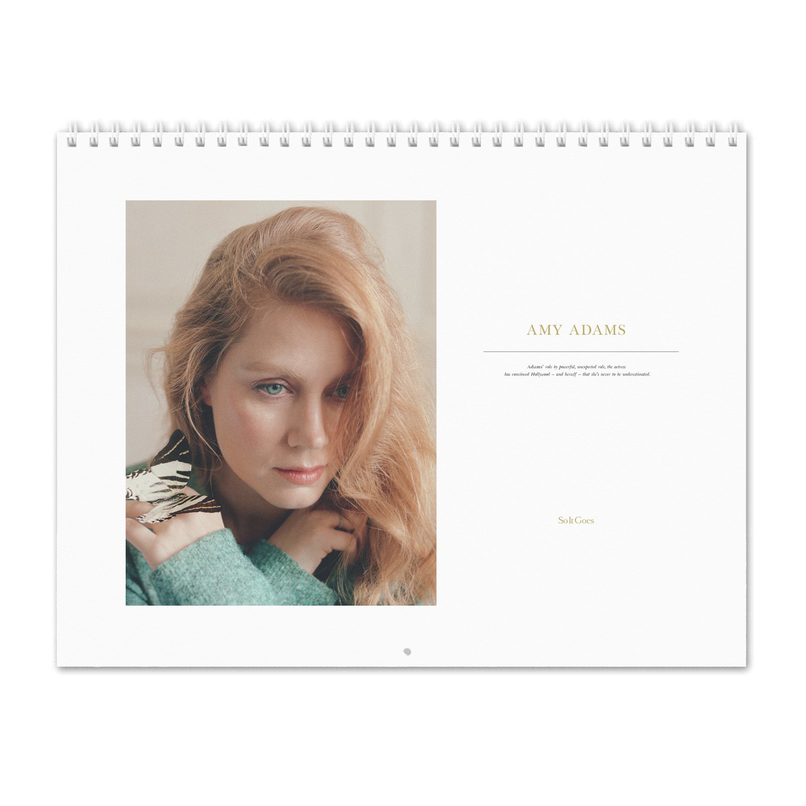 00 Amy Adams - So It Goes 2027 Wall Calendar