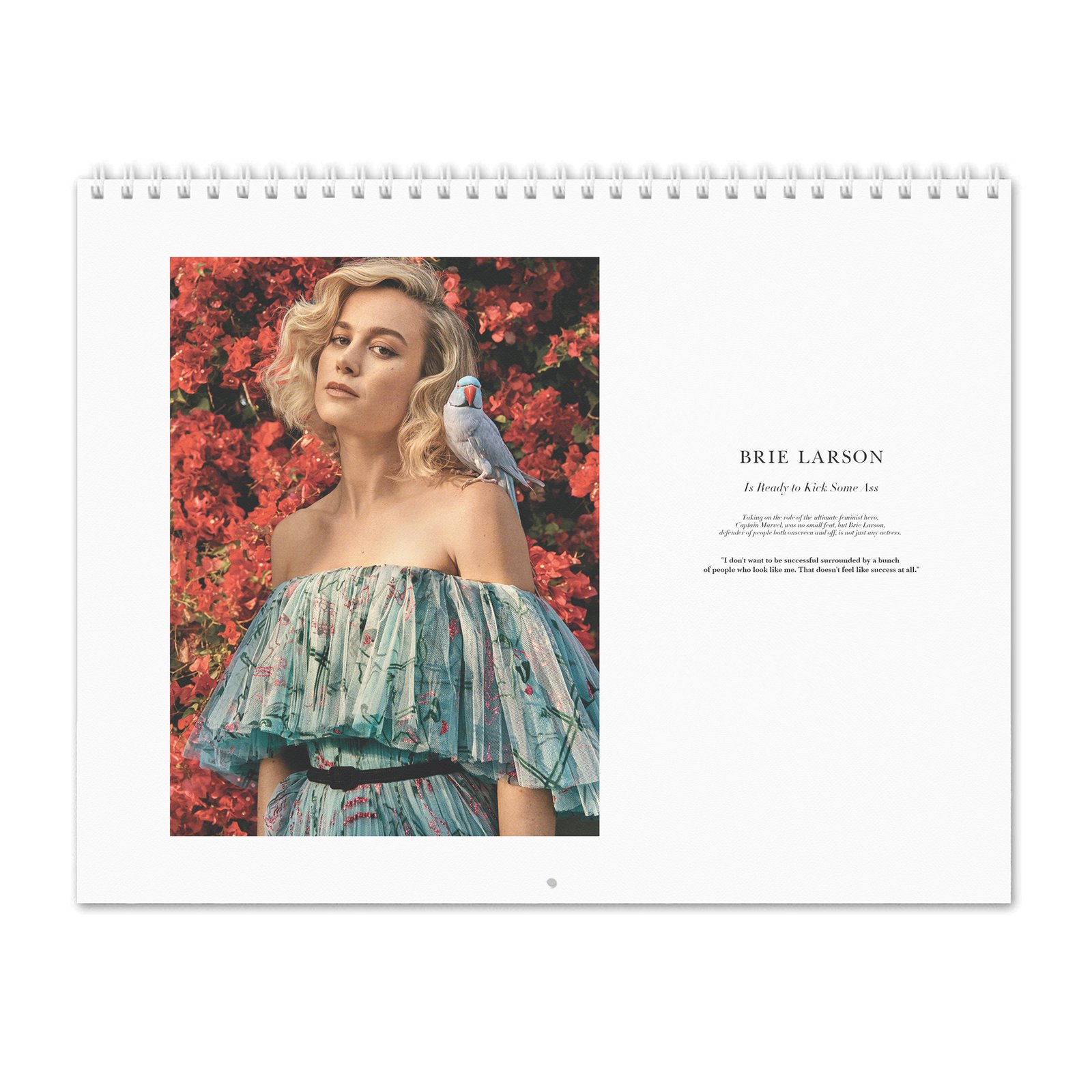 00 Brie Larson - Ready To Kick Some Ass 2027 Wall Calendar