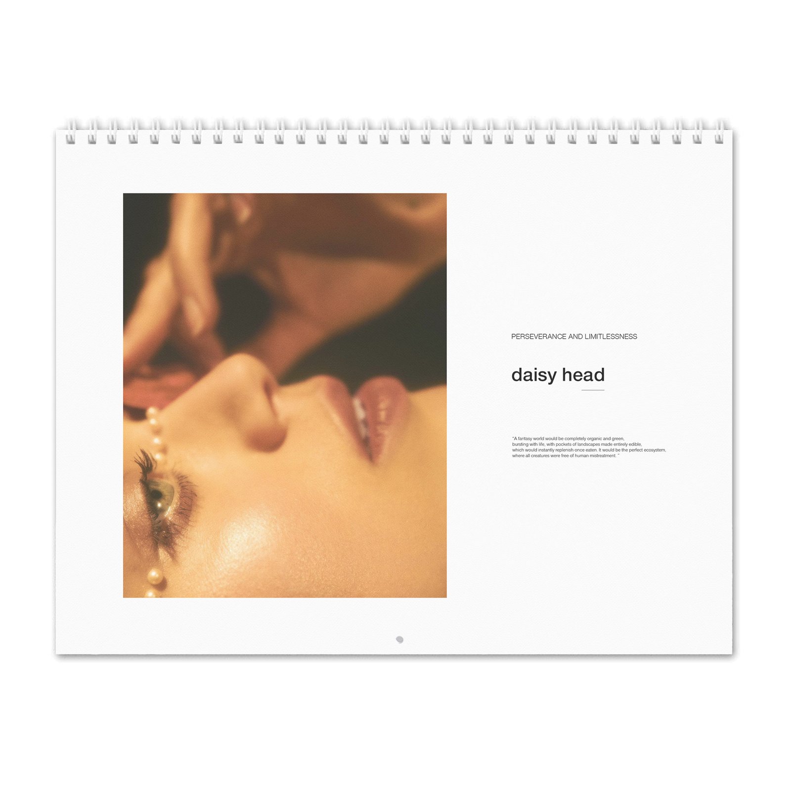 00 Daisy Head - Perseverance And Limitlessness 2027 Wall Calendar