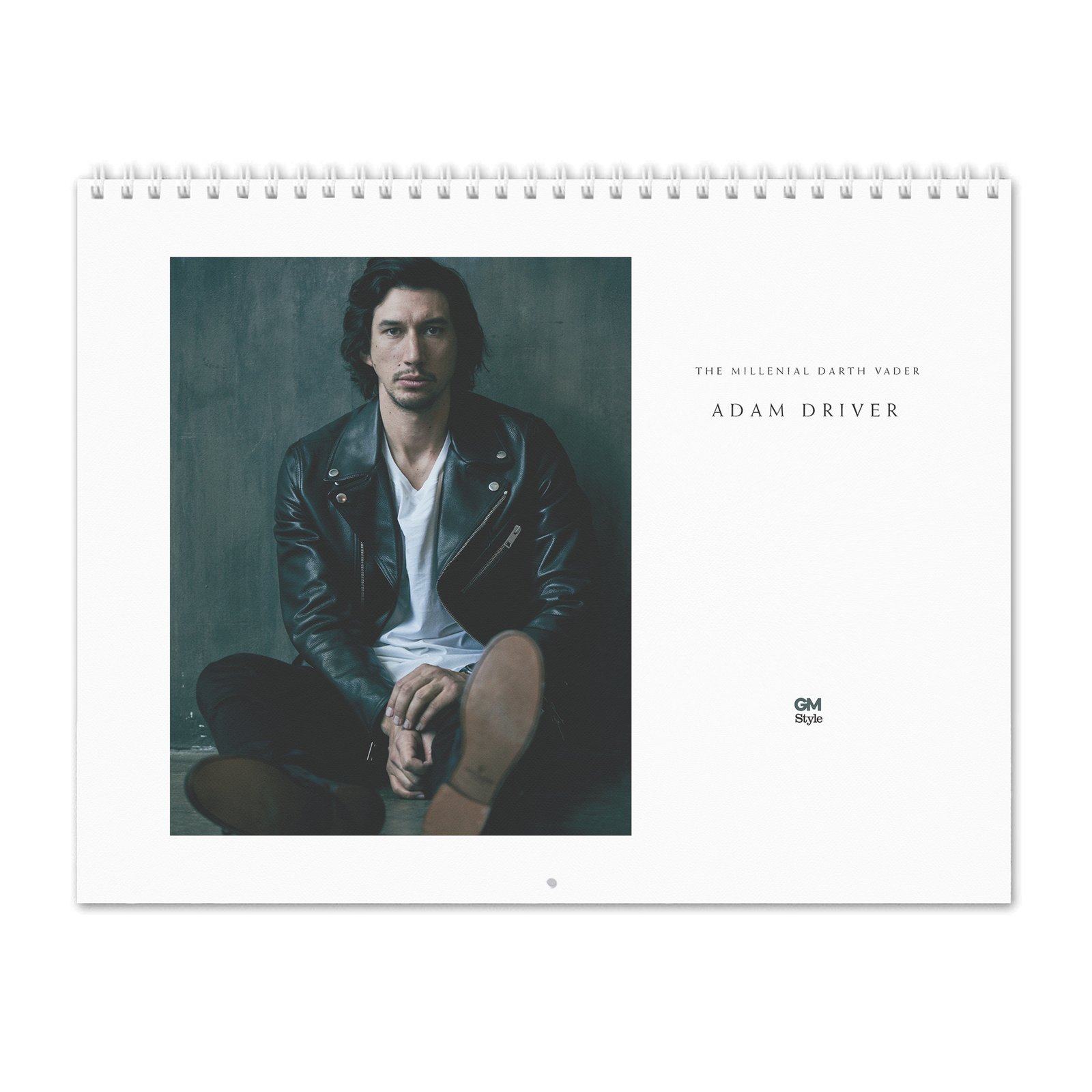 00 Adam Driver - The Millenial Darth Vader 2027 Wall Calendar