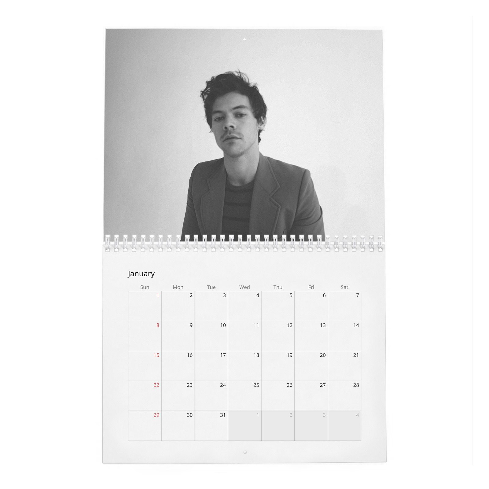01 Harry Styles - House of Styles 2027 Wall Calendar