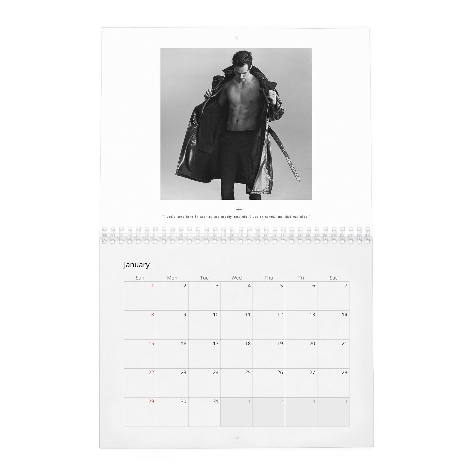 Bill Skarsgard - Hollywood’s Current “It” Boy 2027 Wall Calendar