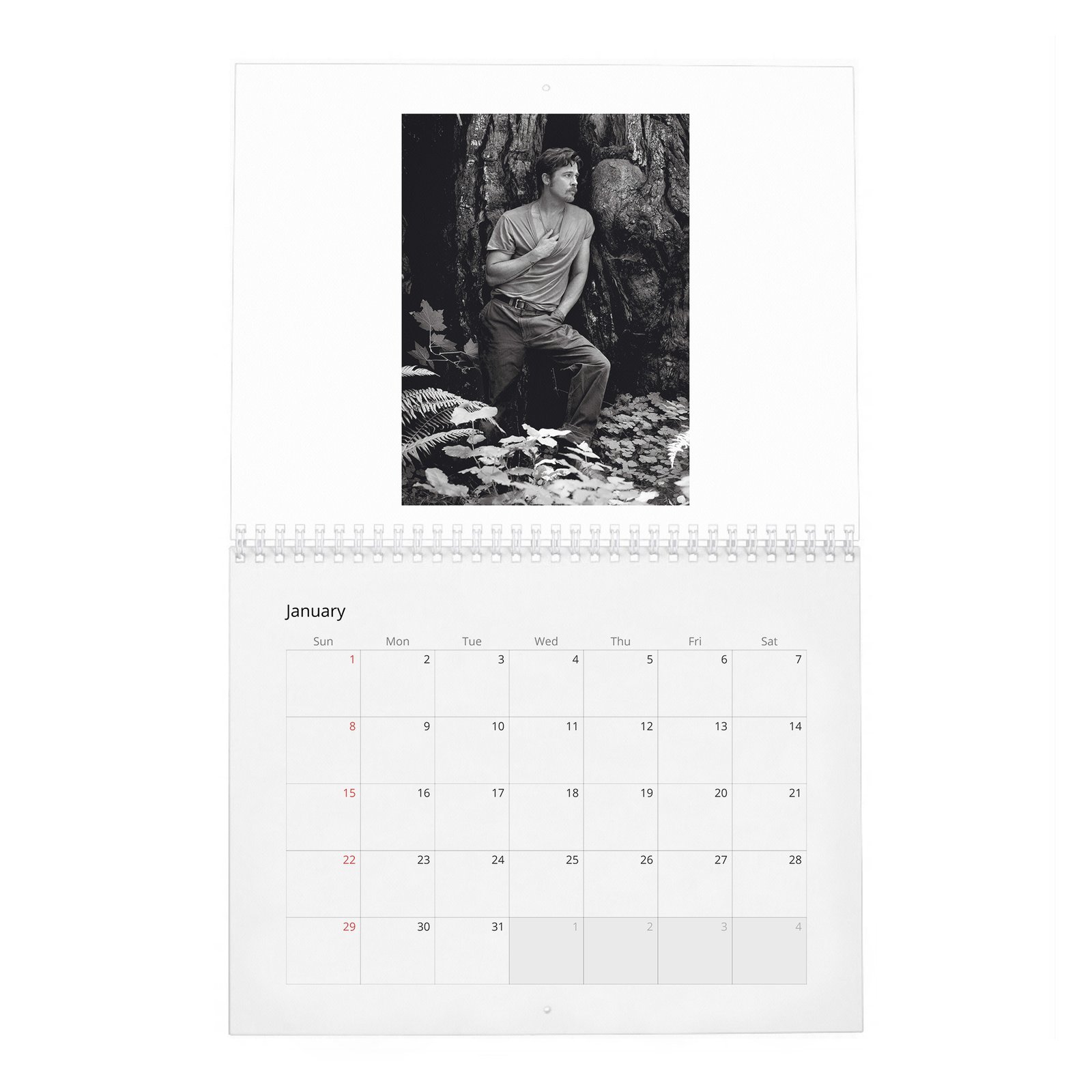 01 Brad Pitt - Forest Soul 2027 Wall Calendar