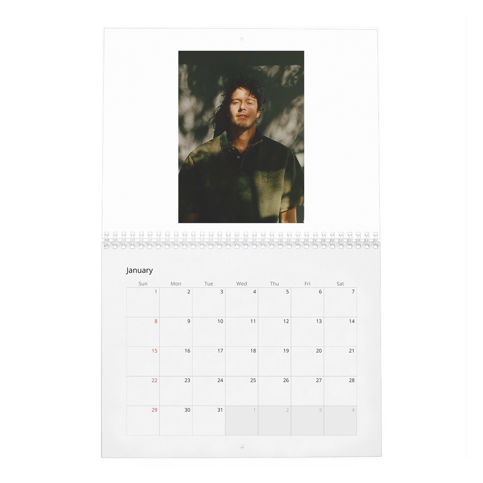 01 Cesar Domboy - Flaunt 2027 Wall Calendar
