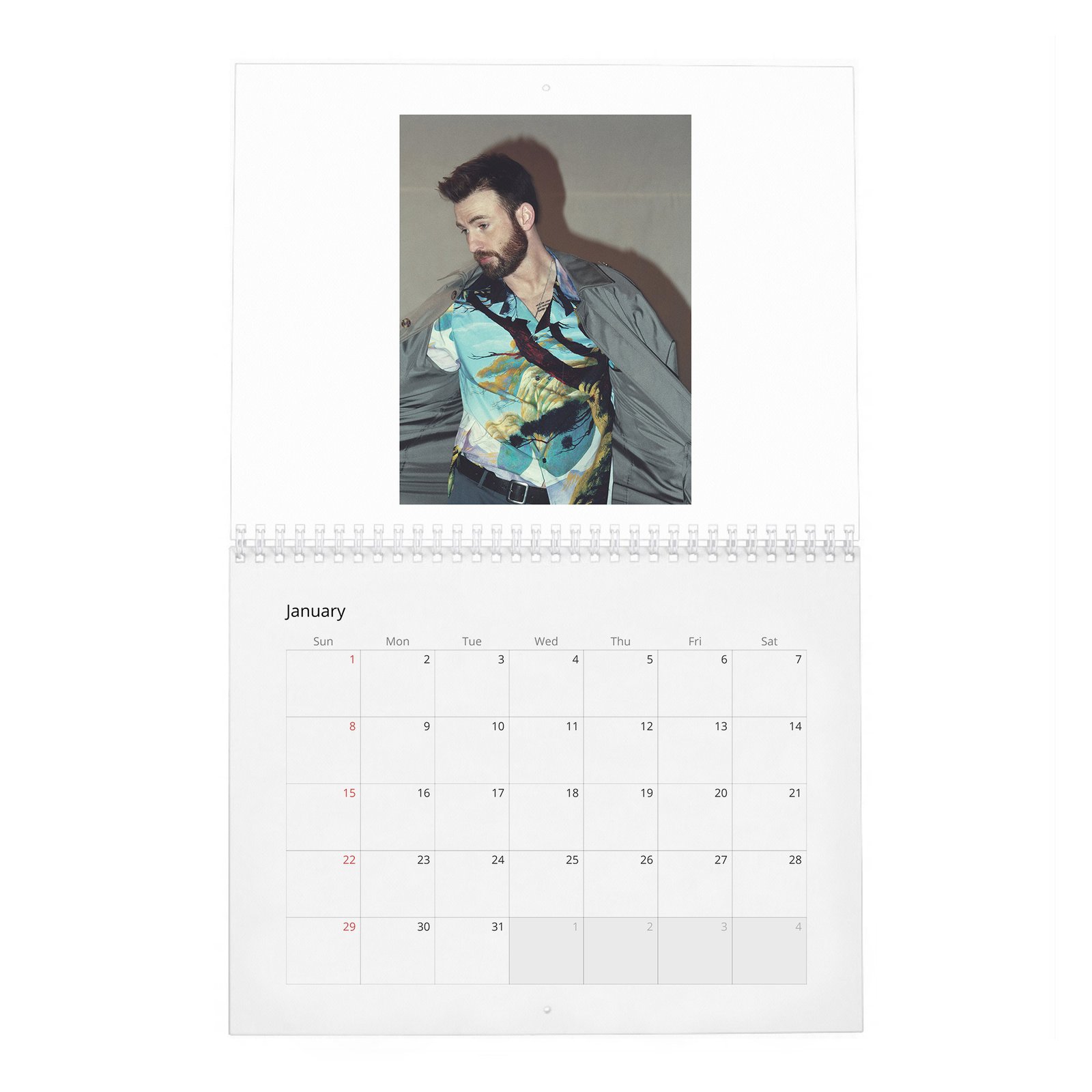 01 Chris Evans - Doesn't Like To Talk About Himself 2027 Wall Calendar