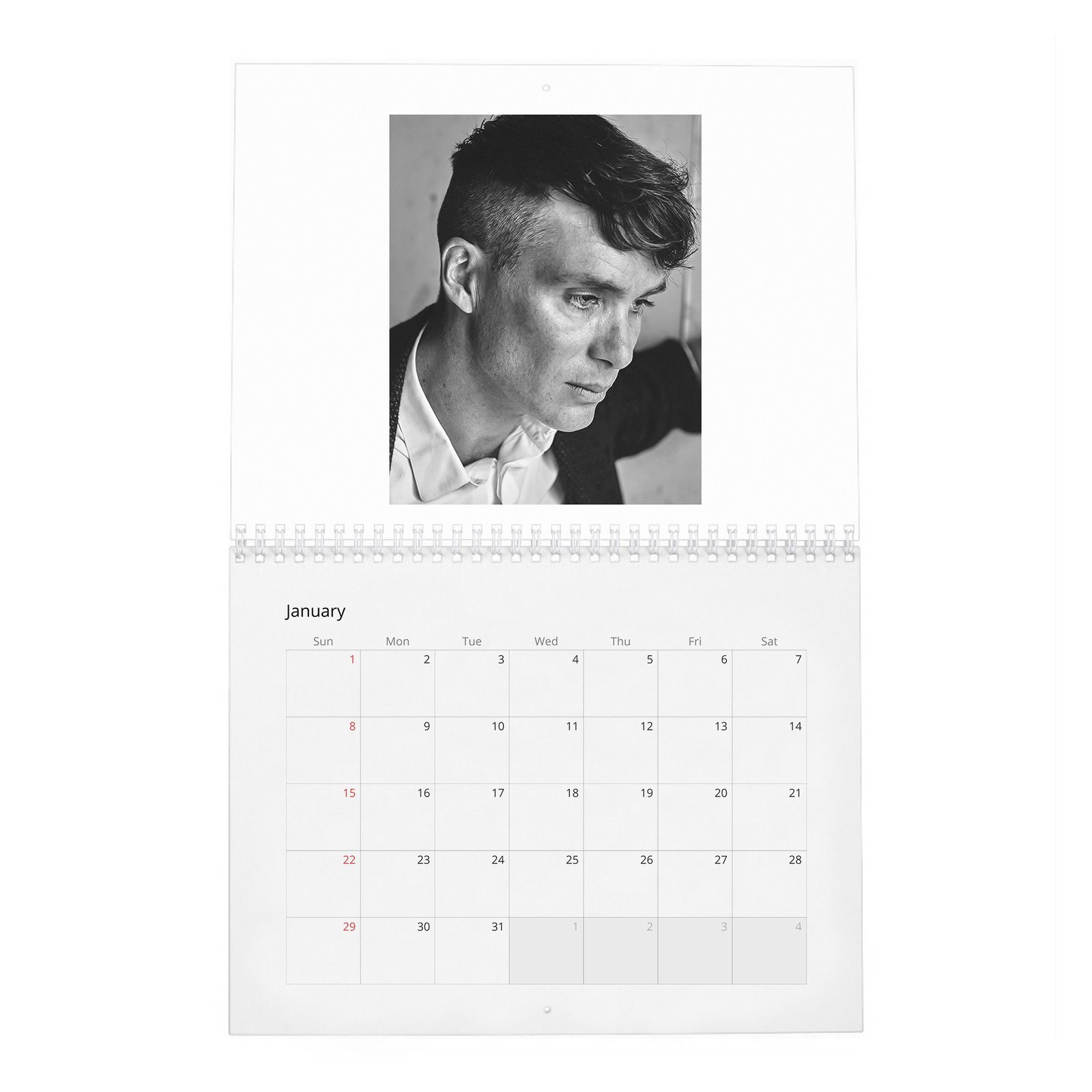01 Cillian Murphy - Actor Of The Year 2027 Wall Calendar