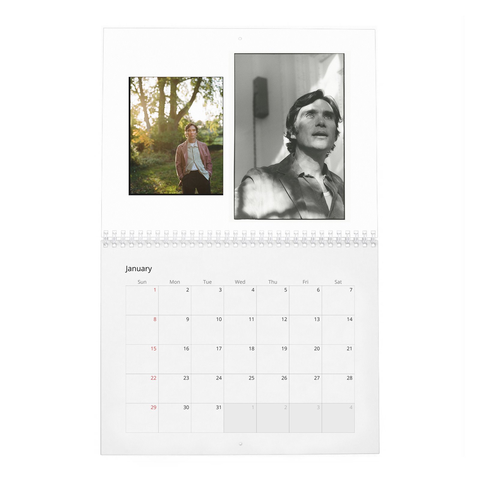 01 Cillian Murphy - Field Of His Own 2027 Wall Calendar