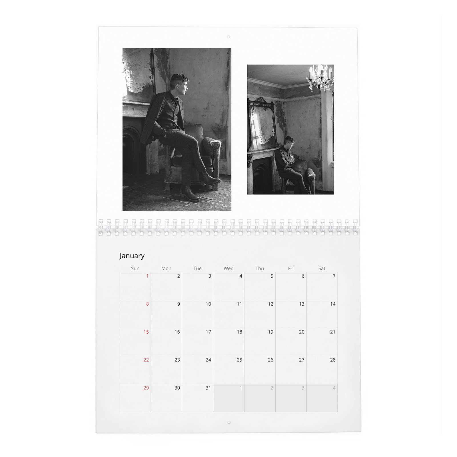 01 Cillian Murphy - So It Goes 2027 Wall Calendar