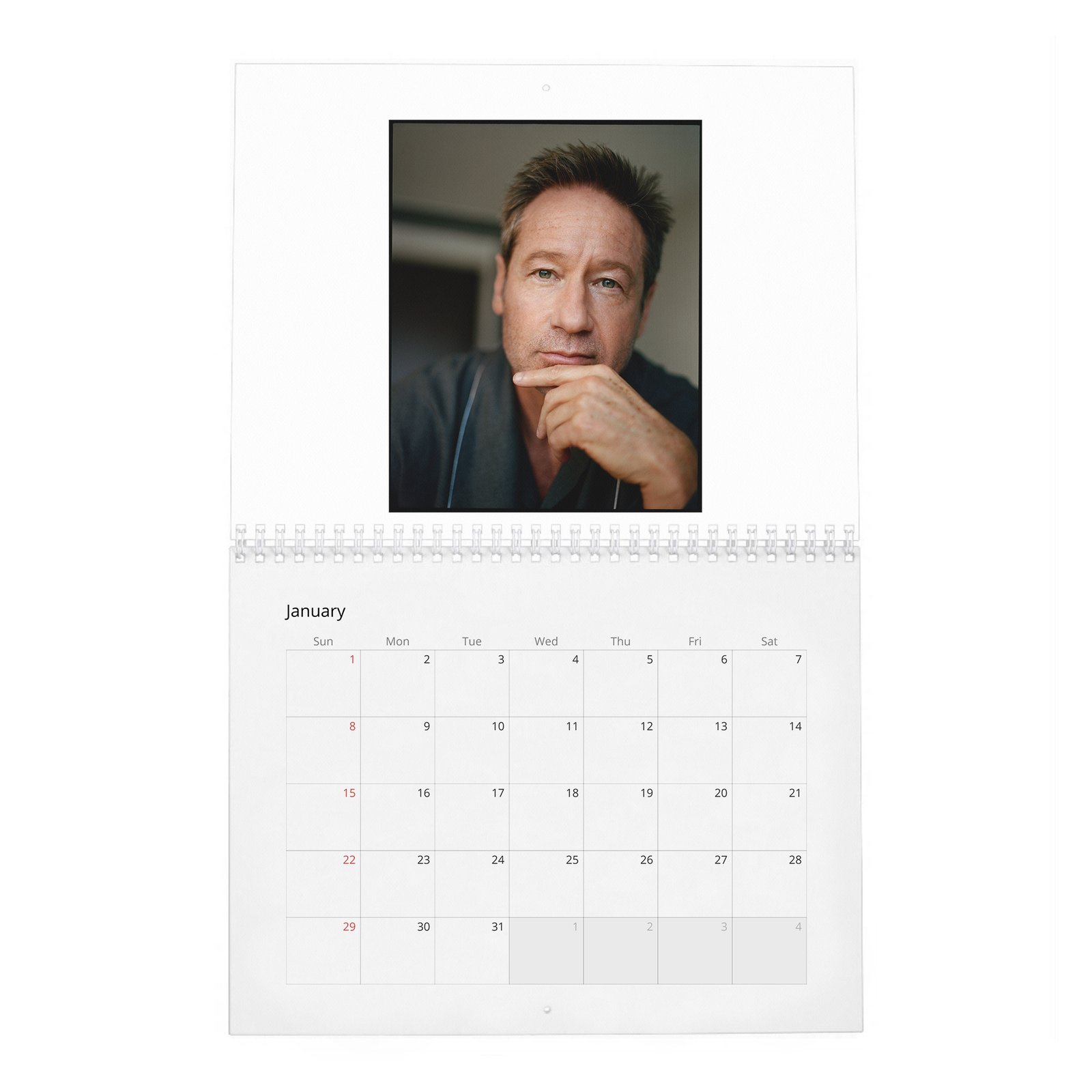 David Duchovny - Weekend In The Life 2027 Wall Calendar