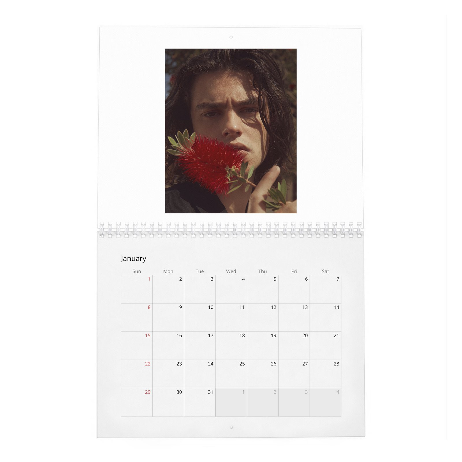 Felix Mallard - Flaunt 2027 Wall Calendar