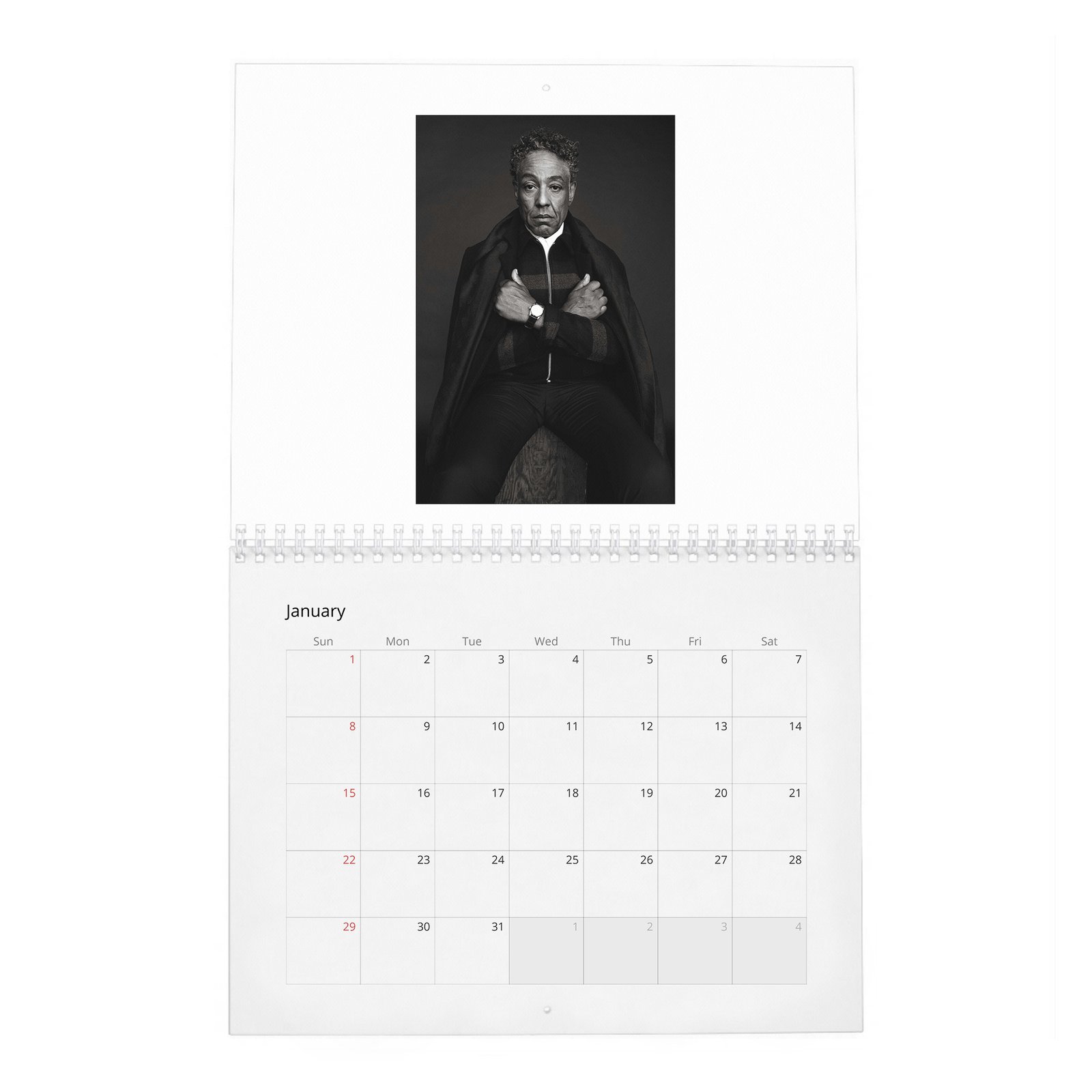 01 Giancarlo Esposito - Rogue 2027 Wall Calendar
