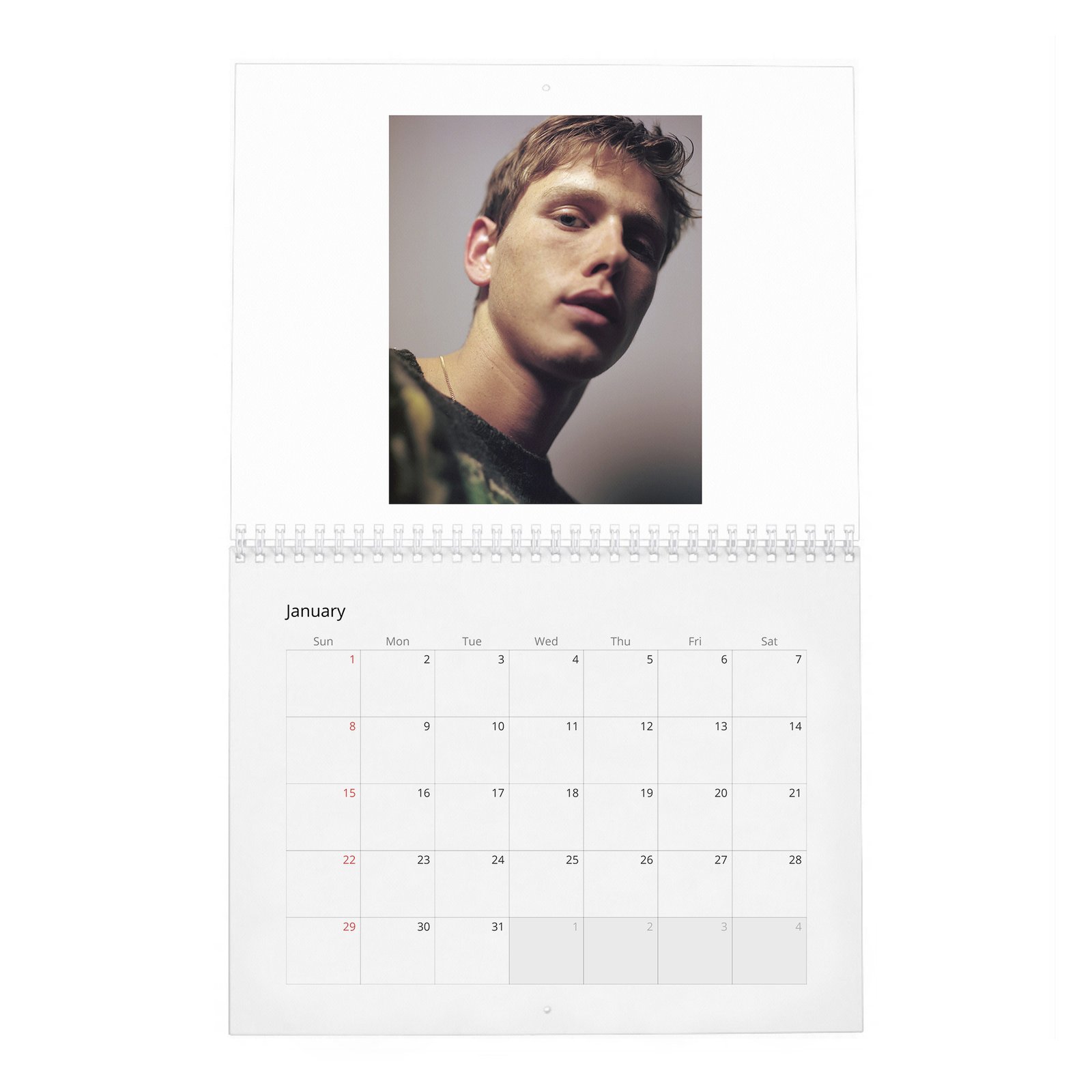 Harris Dickinson - Wonderland 2027 Wall Calendar