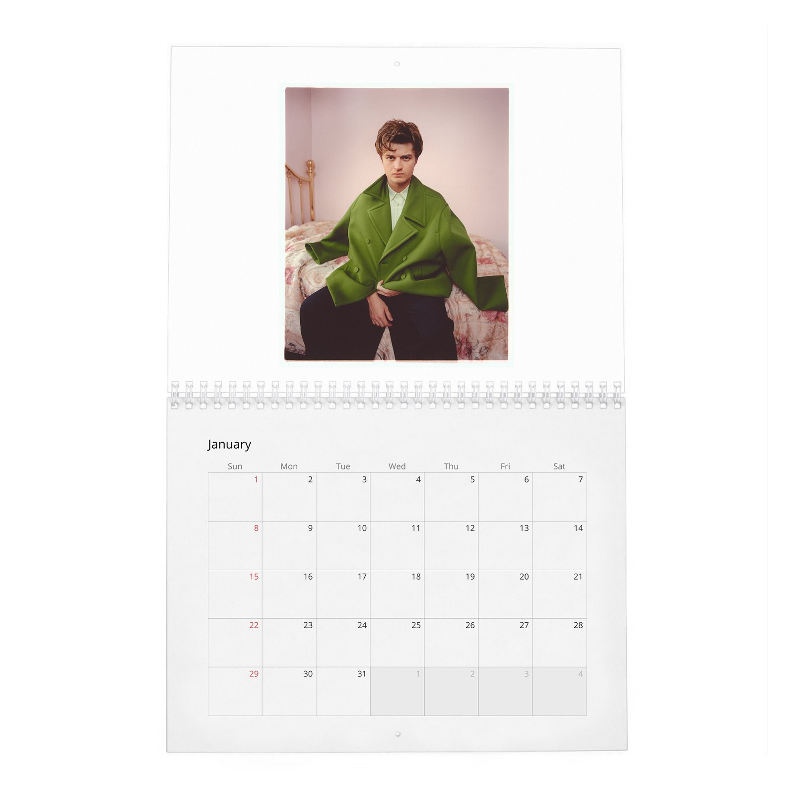 Joe Keery - Levels Up 2027 Wall Calendar