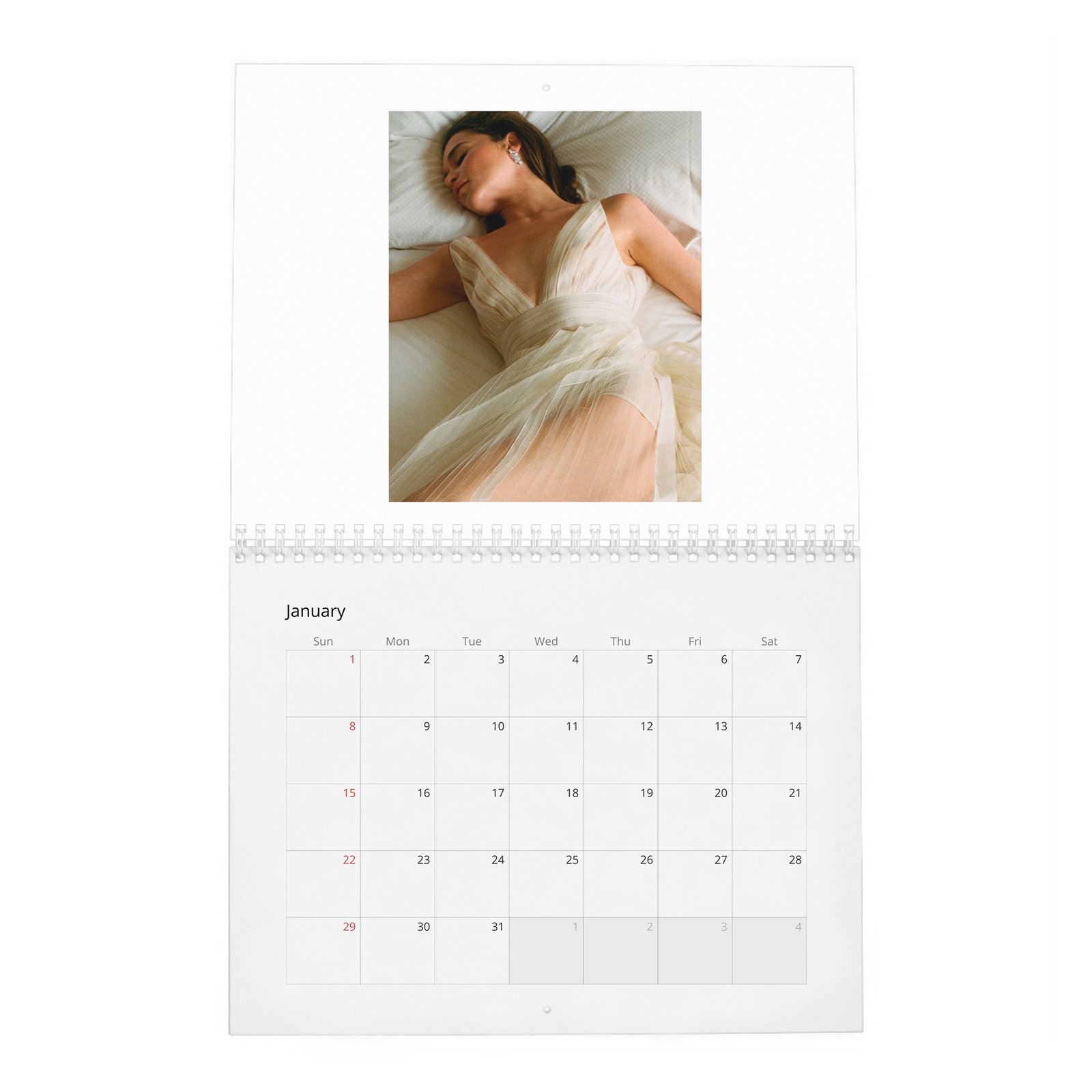 01 (2) Emilia Clarke - Power and Passion 2027 Wall Calendar
