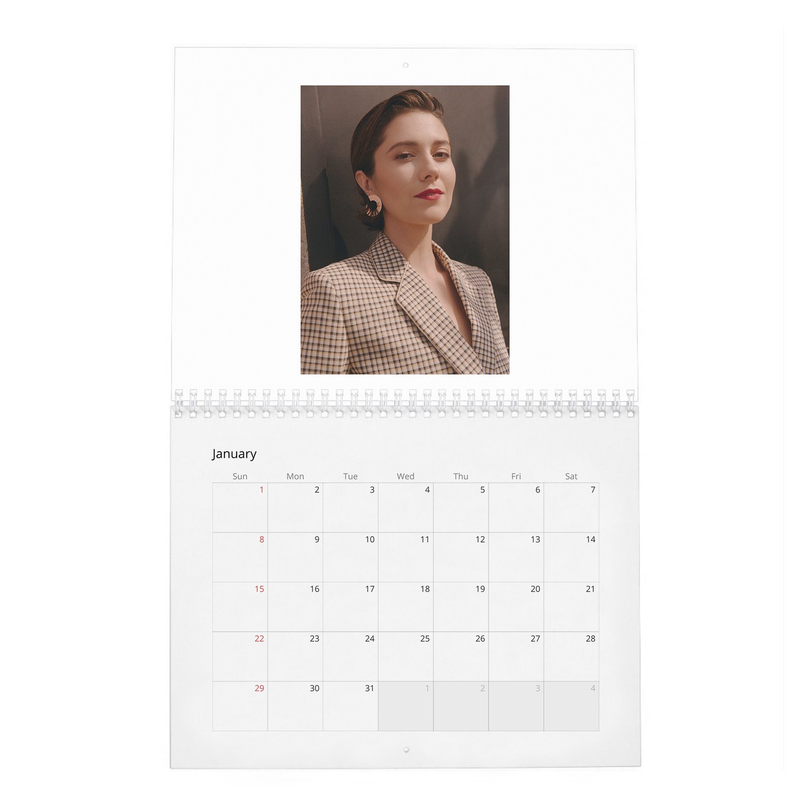 01 Mary Elizabeth Winstead - Laterals 2027 Wall Calendar