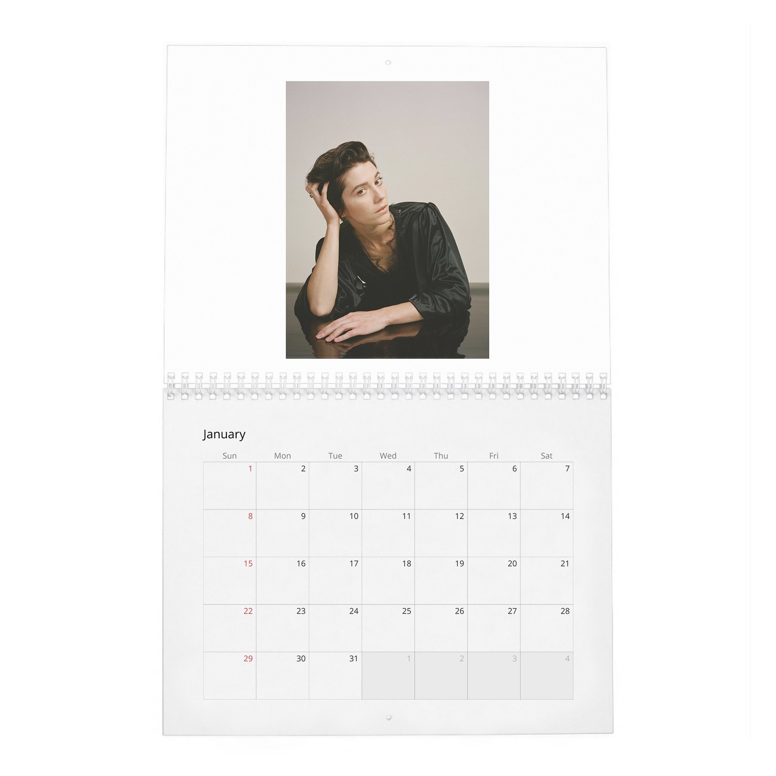 01 Mary Elizabeth Winstead - She Loves Playing The Badass 2027 Wall Calendar