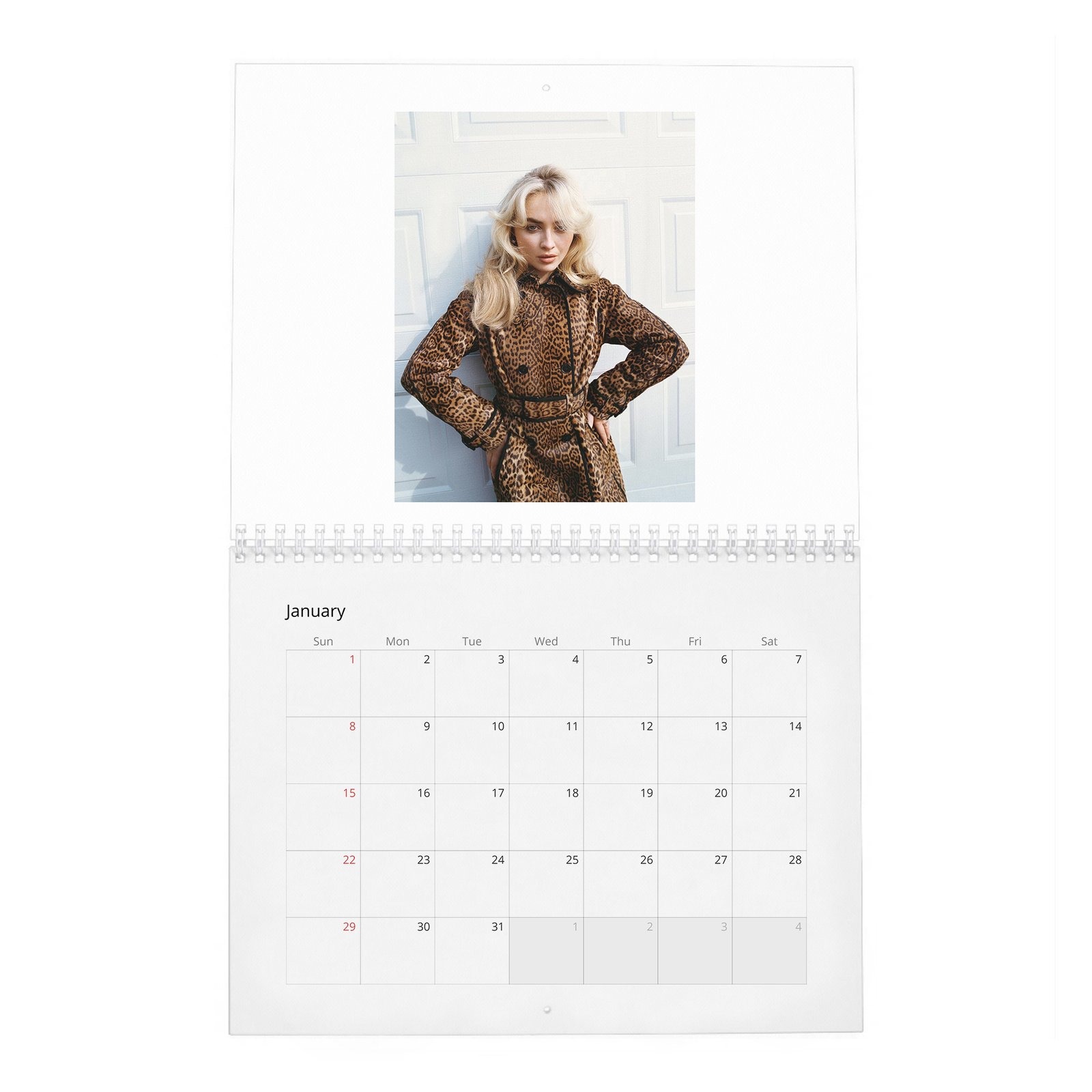 01 Sabrina Carpenter - Obsessed 2027 Wall Calendar