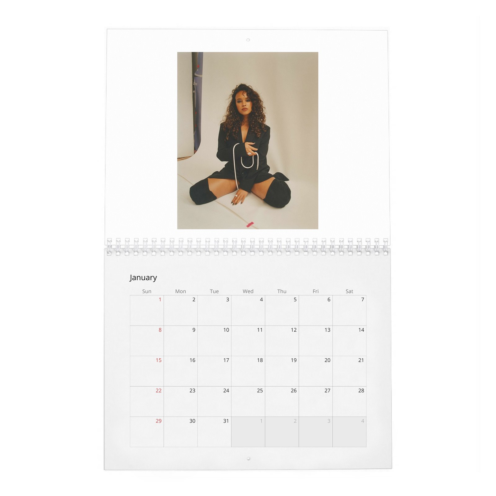 01 Alisha Boe - Wonderland 2027 Wall Calendar