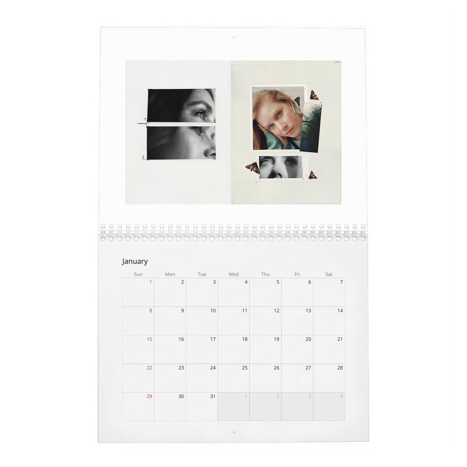 01 Amy Adams - So It Goes 2027 Wall Calendar