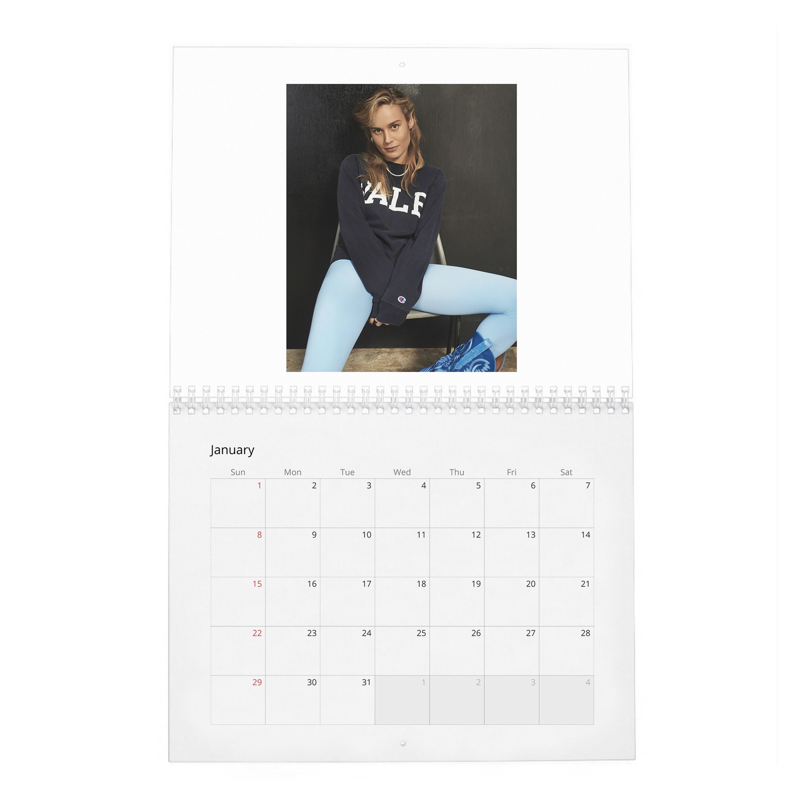 Brie Larson - Goes Her Own Way 2027 Wall Calendar