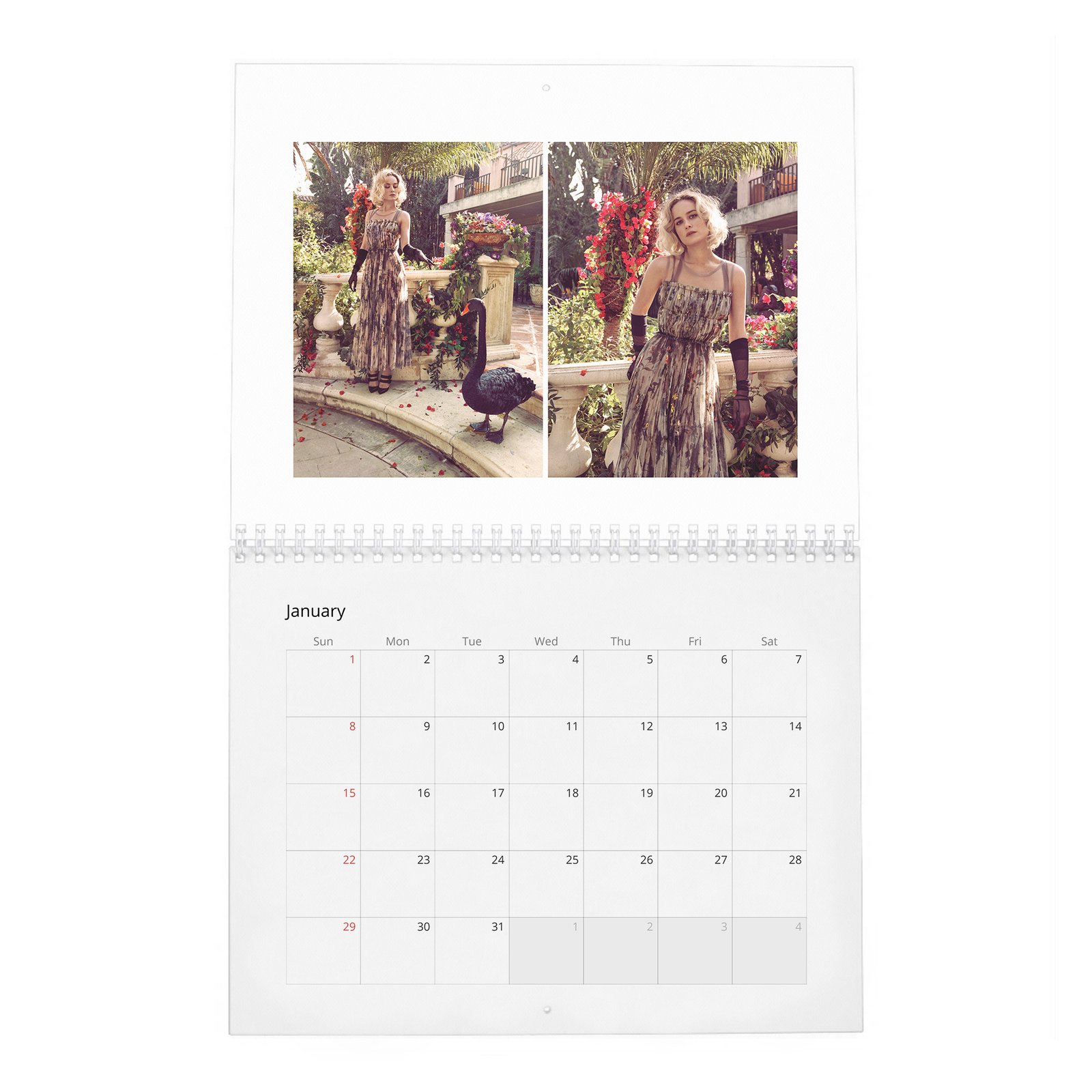 01 Brie Larson - Ready To Kick Some Ass 2027 Wall Calendar