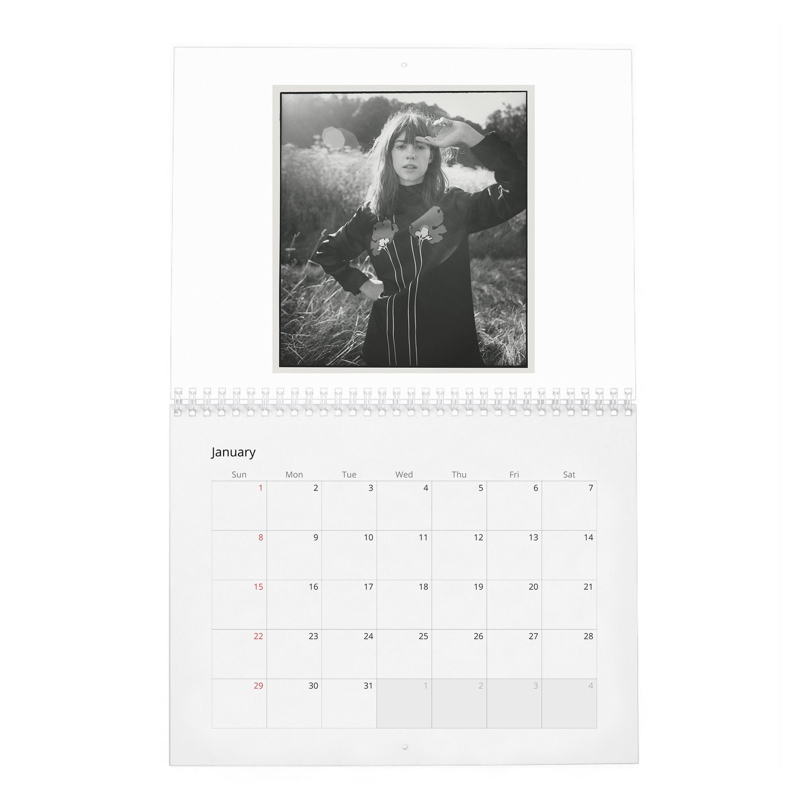 01 Daisy Edgar-Jones - Starring Breaktrough Talent 2027 Wall Calendar
