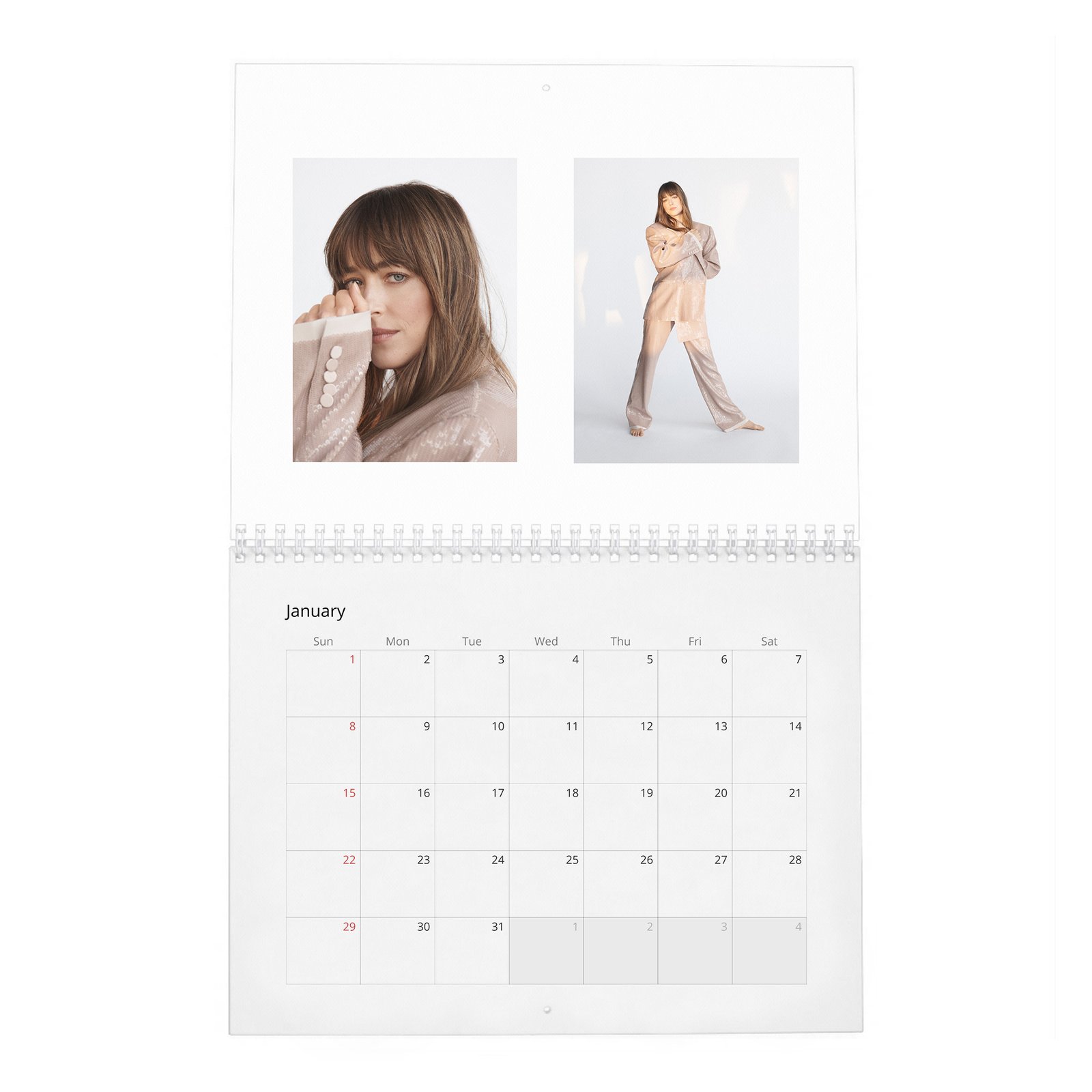 Dakota Johnson - Finding Her Light 2027 Wall Calendar