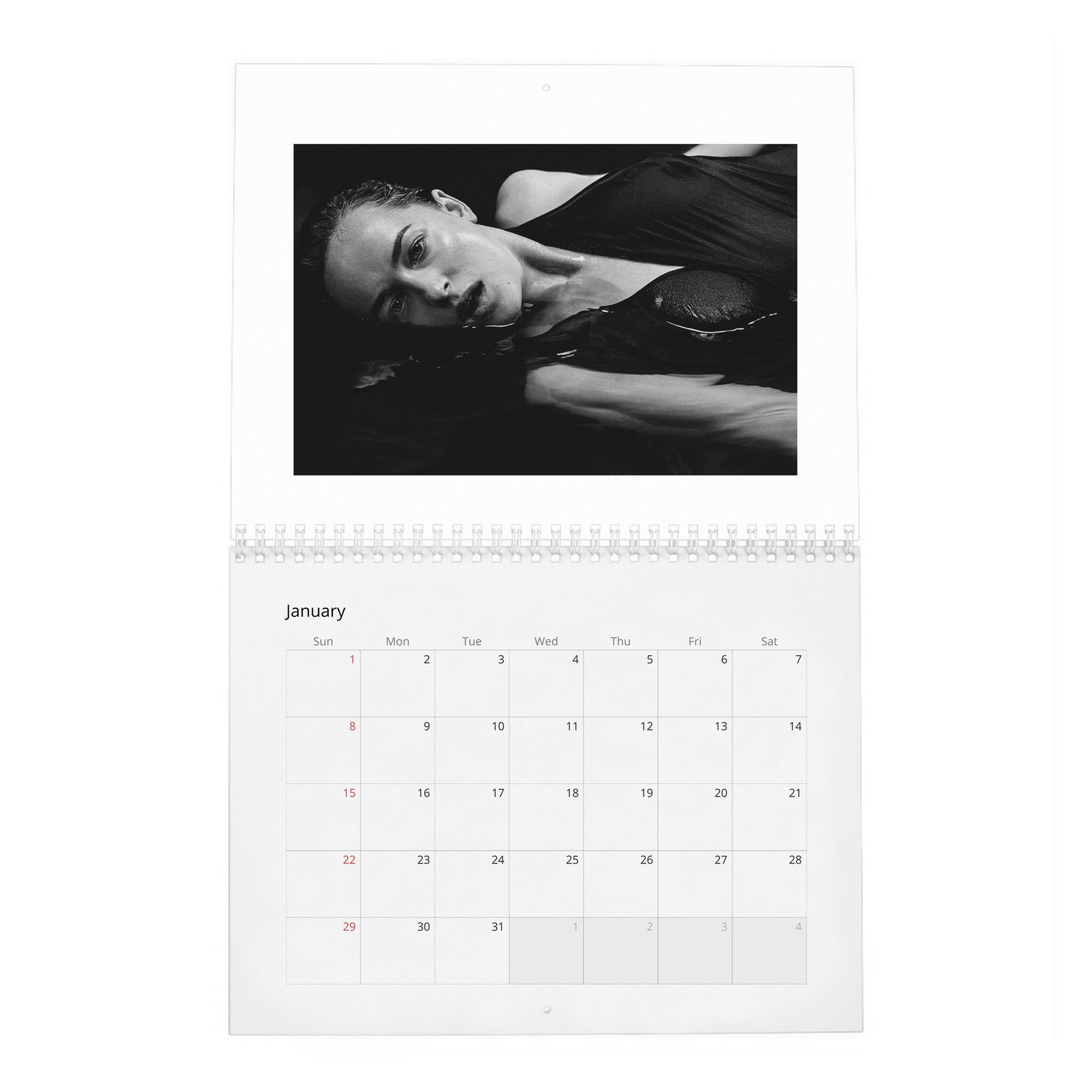 Dakota Johnson - Present A New Vision 2027 Wall Calendar
