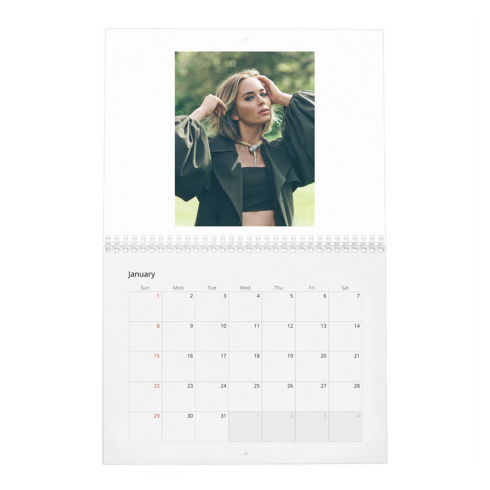 01 Emily Blunt - In Full Bloom 2027 Wall Calendar