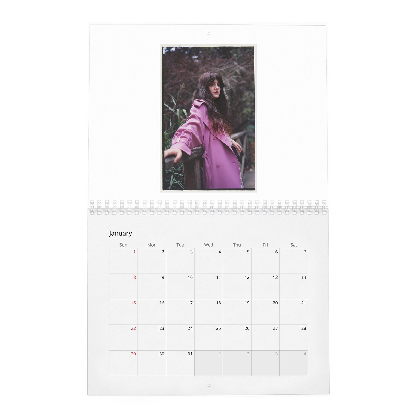 01 Emily Carey - Rose And Ivy 2027 Wall Calendar