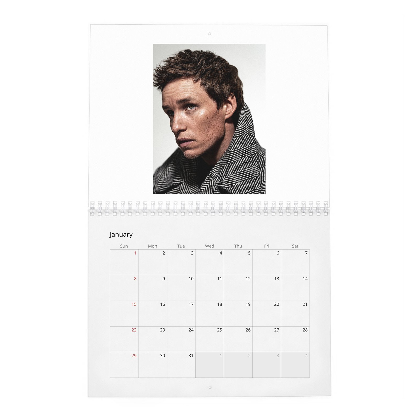Eddie Redmayne - In Theory It Has Everything 2027 Wall Calendar