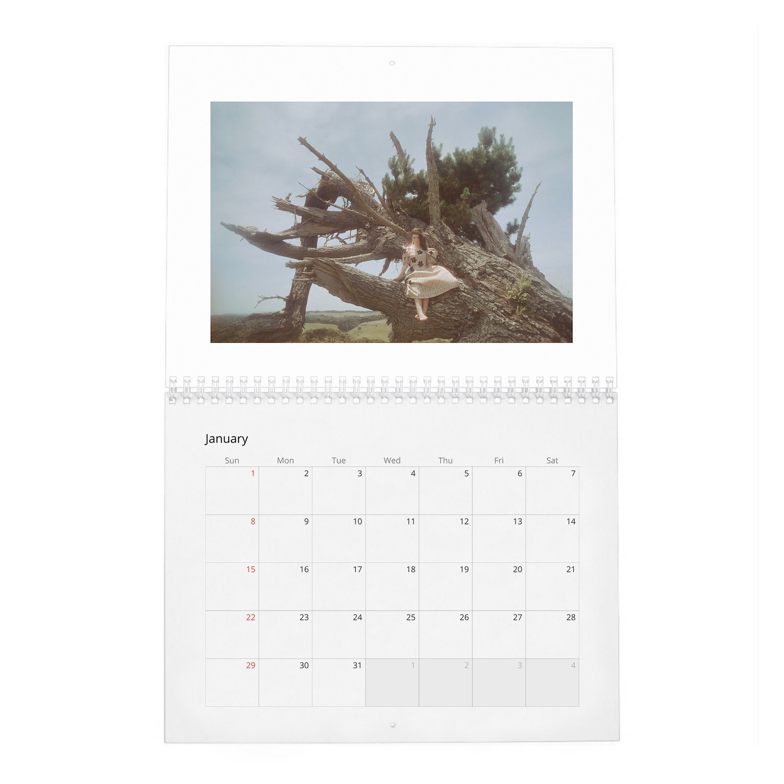 01 Lorde - Be True 2027 Wall Calendar