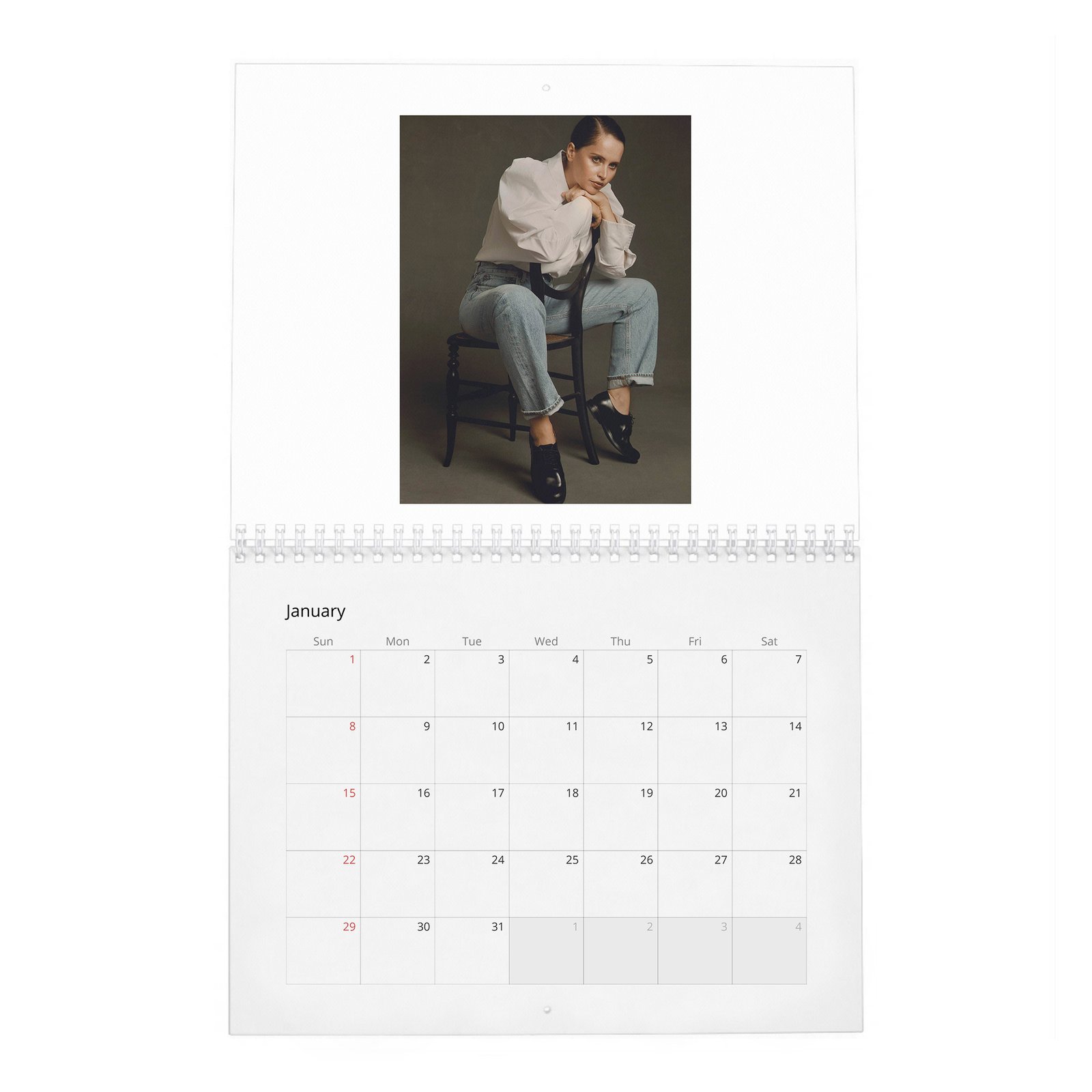 Felicity Jones - Rebel With A Cause 2027 Wall Calendar