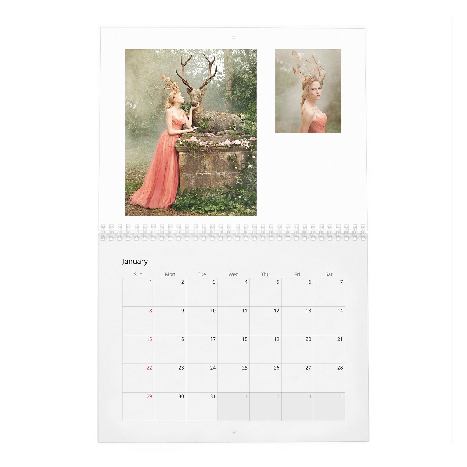 Gabriella Wilde - In Fine Feather 2027 Wall Calendar