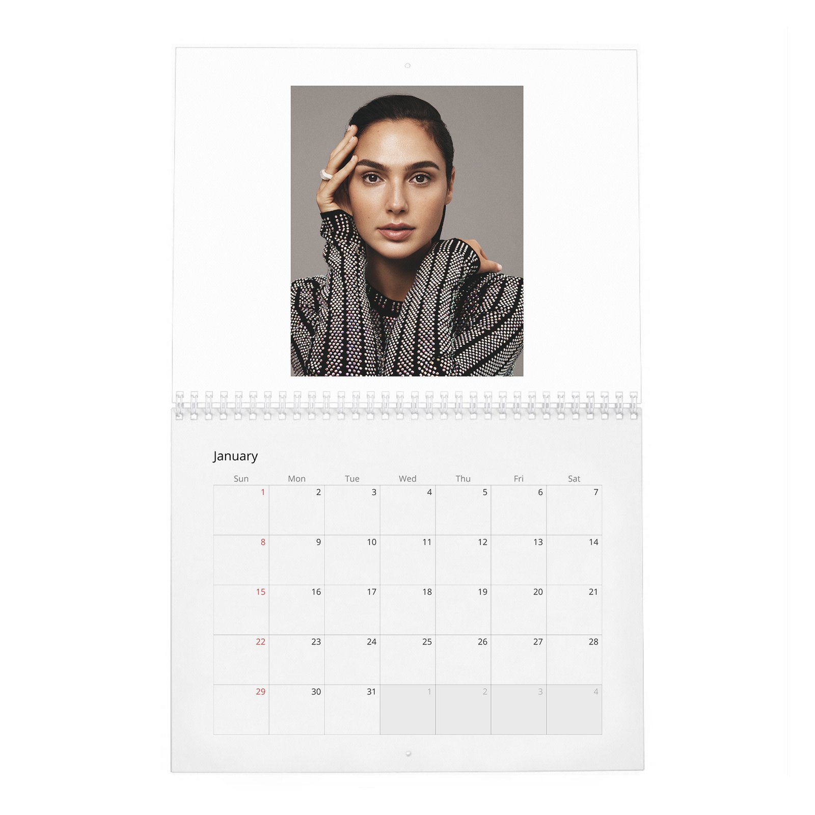 01 Gal Gadot - Real-Life Heroine 2027 Wall Calendar