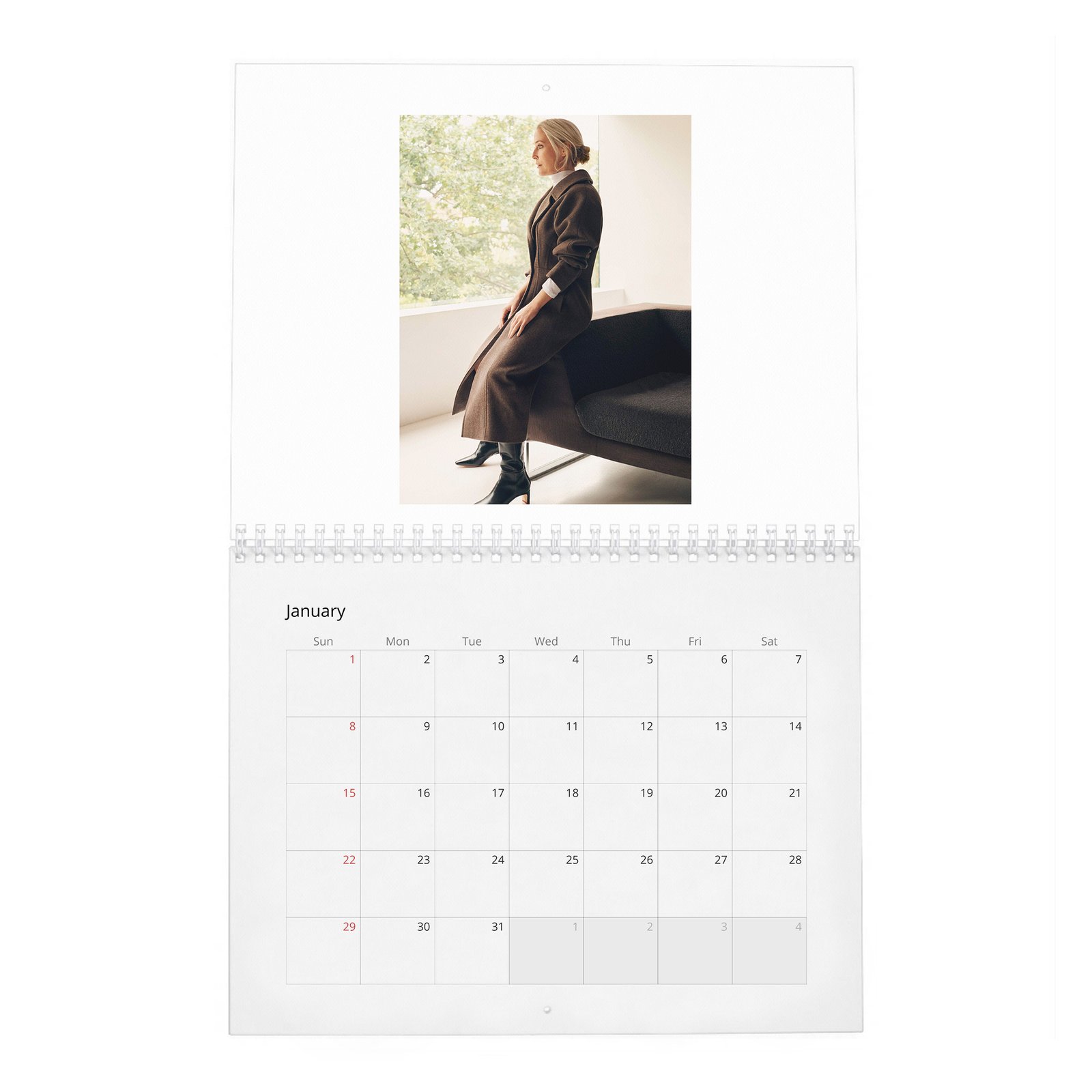 01 Gillian Anderson - Prime Time 2027 Wall Calendar