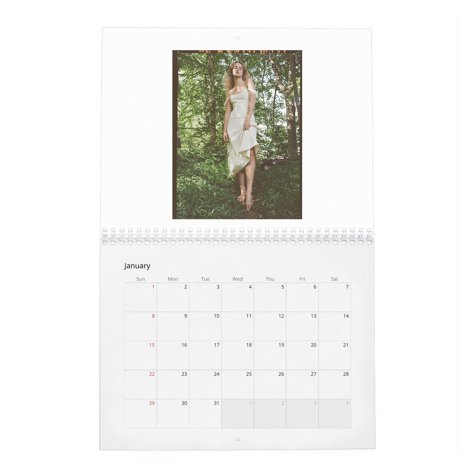 01 Grace Van Patten - Laterals 2027 Wall Calendar