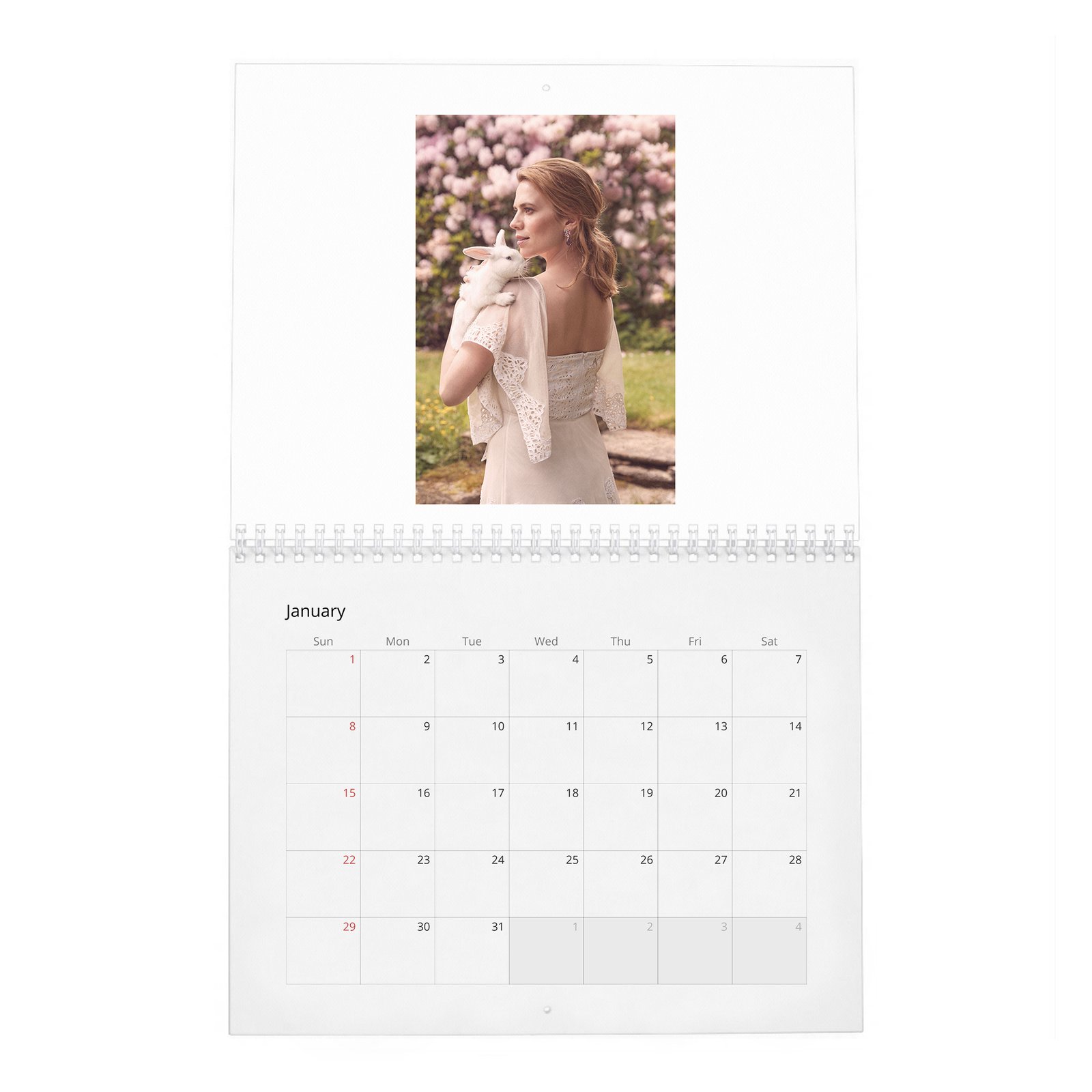 01 Hayley Atwell - Inside The Hundred Acre Wood 2027 Wall Calendar