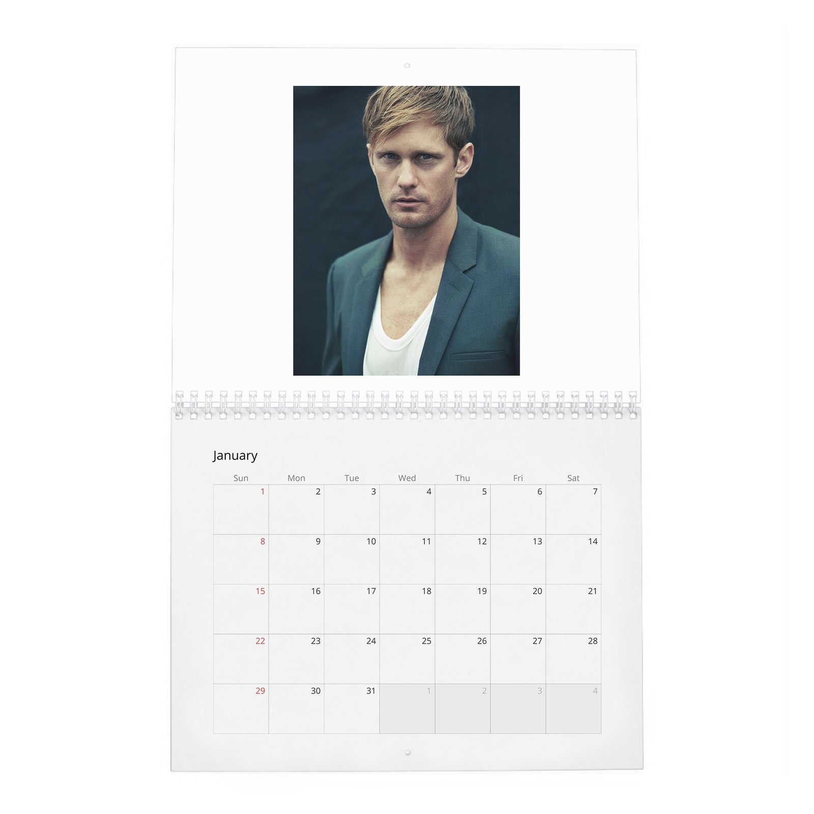 01 Alexander Skarsgard - Knockout At Fortune Gym 2027 Wall Calendar