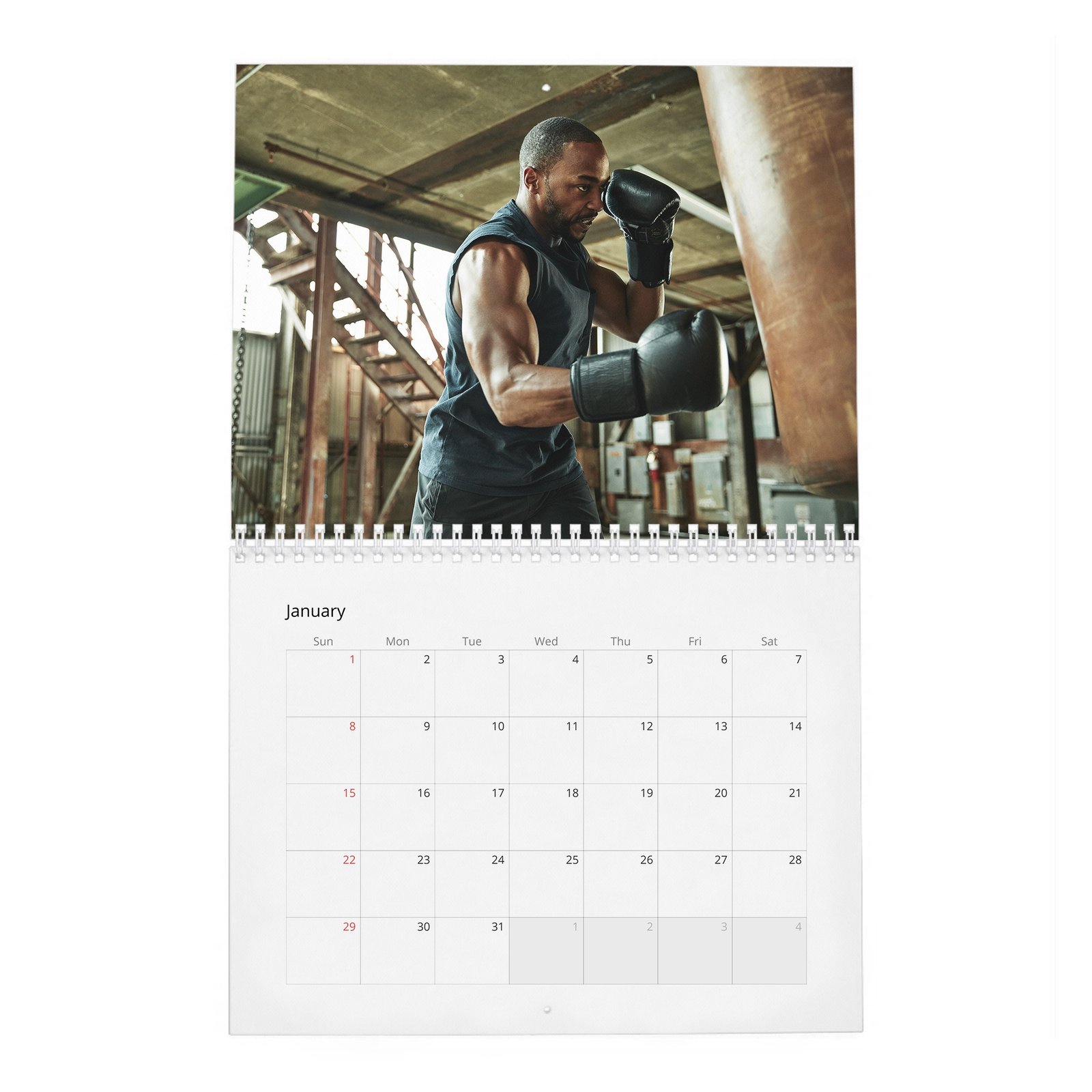 01 Anthony Mackie - Your New Captain 2027 Wall Calendar